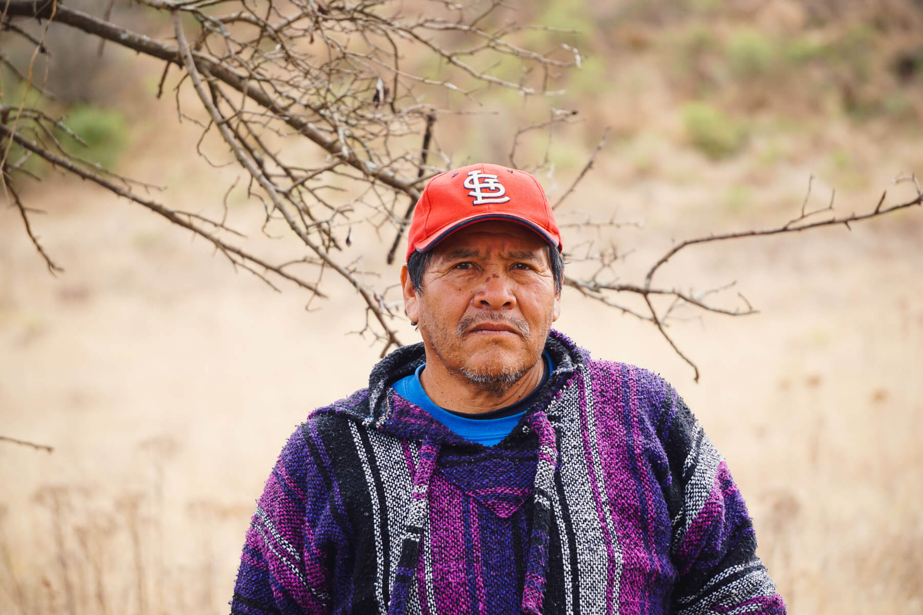 Chéran pine tree plantation owner Ejido Verde