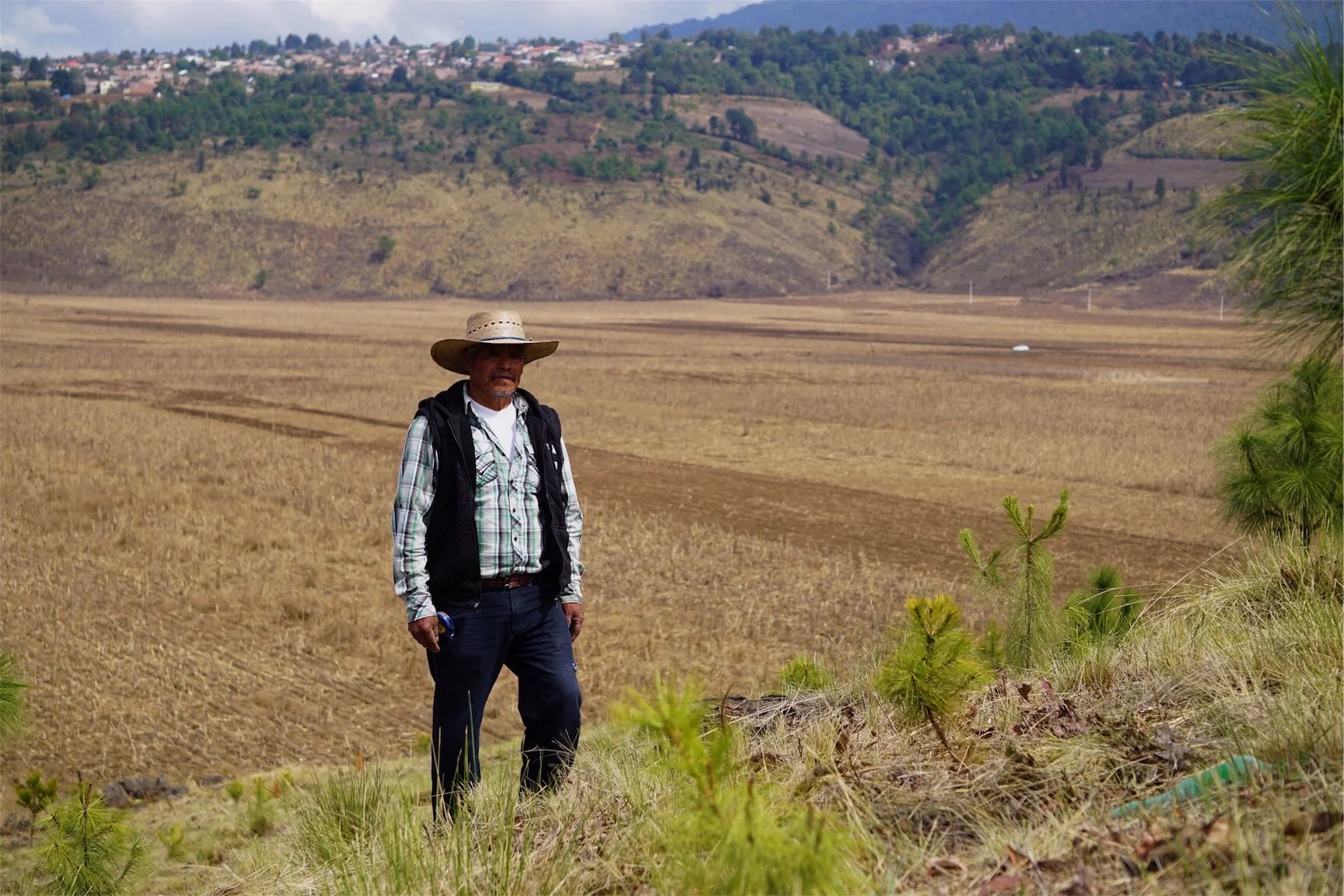 Catarino in front of year-old Ejido Verde pine plantation, overlooking Cherán Atzicurín valley