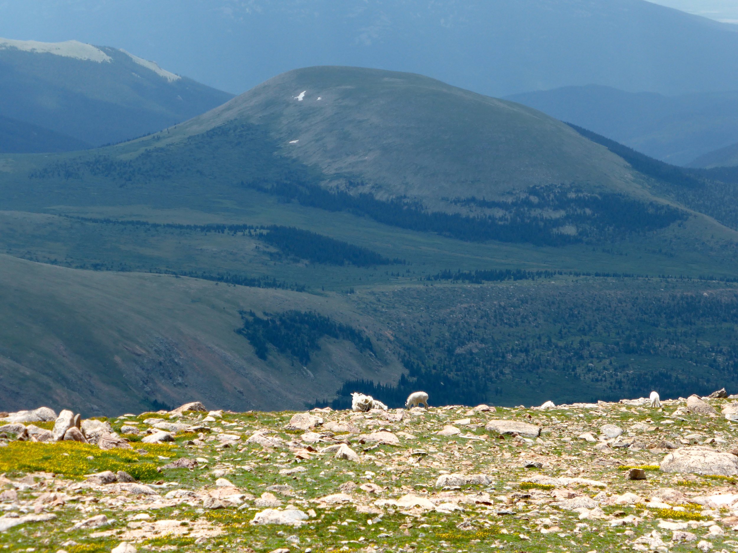 stone mountain.jpg