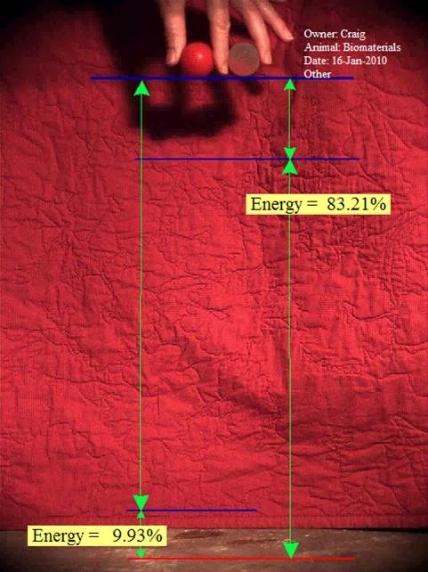 figure 3.jpg