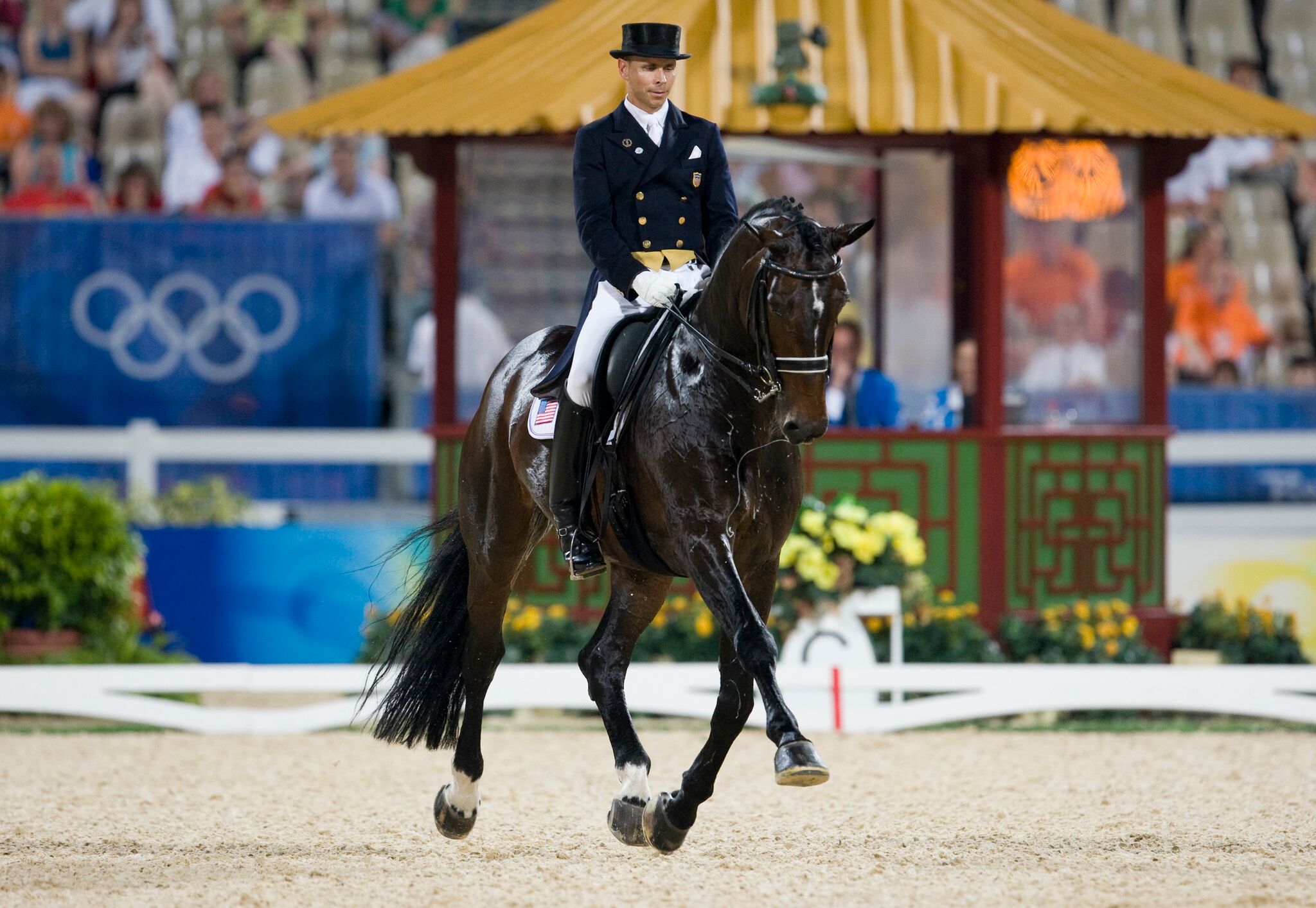 Steffen Peters rides Ravel, Beijing Olympics