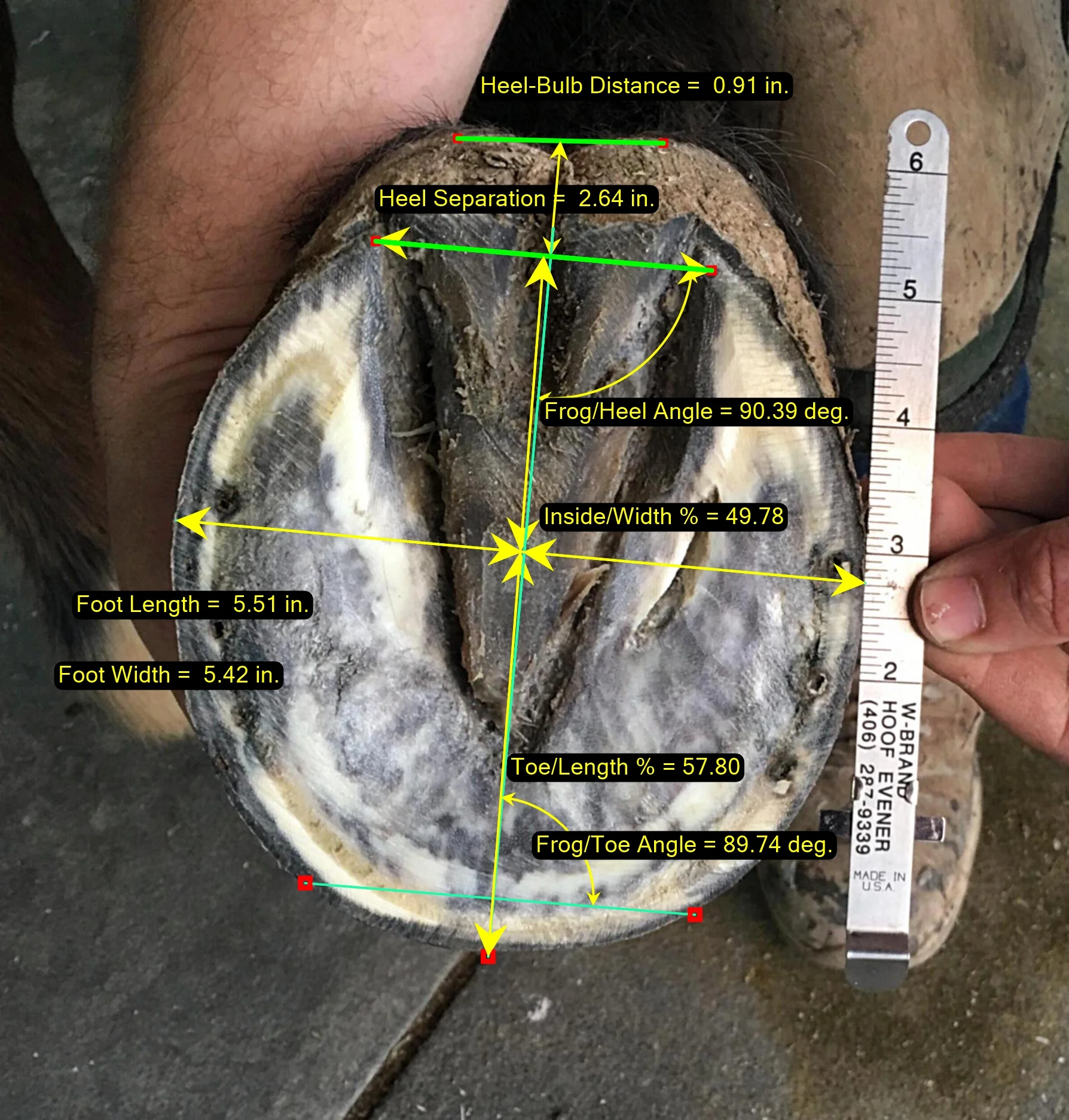 The intellect module does not yet make these measurements automatically -- but will soon in an upcoming update!