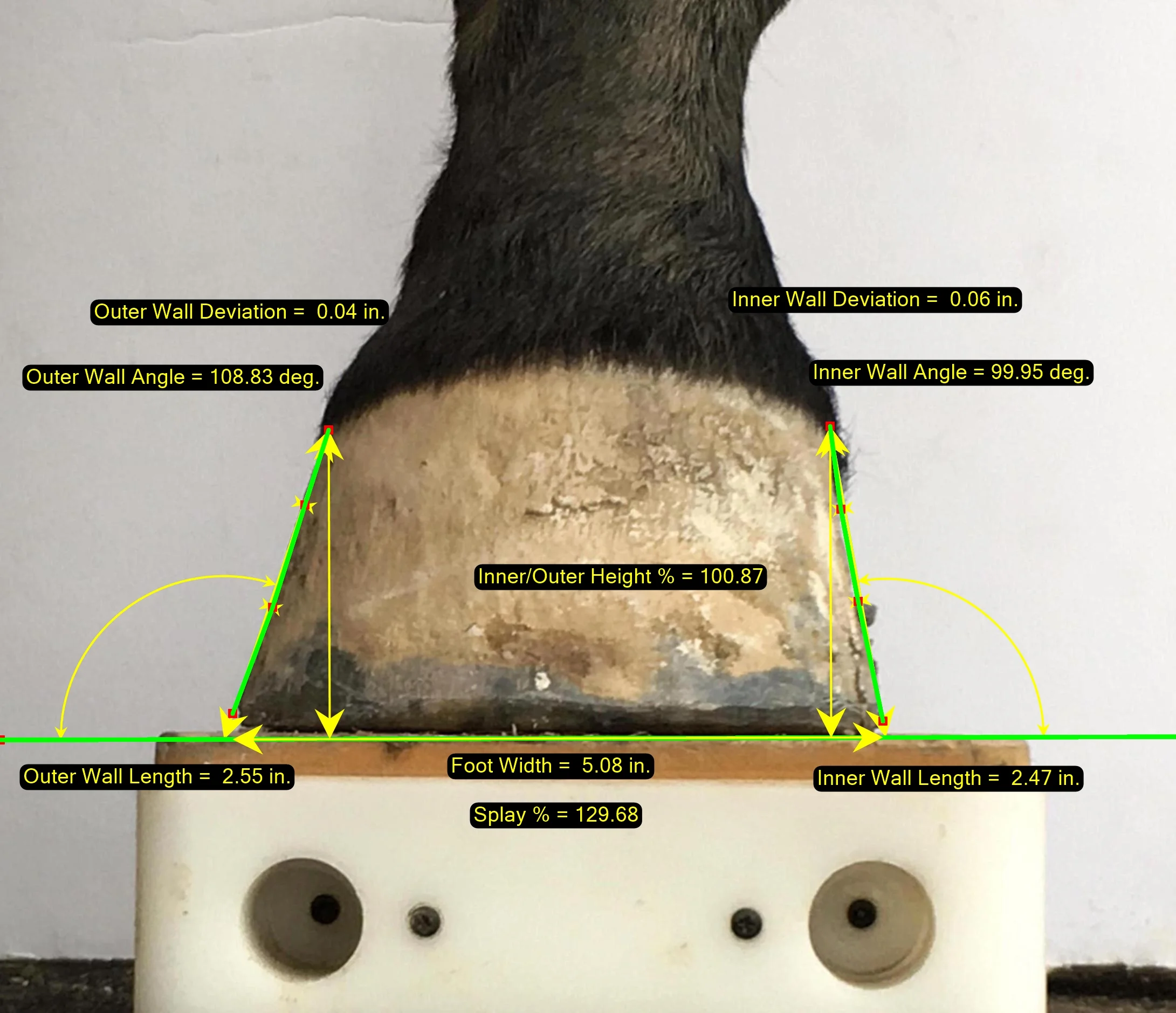DP Photo Measurements.jpg