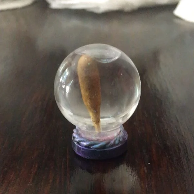 Little dreams ✨🔮✨
.
.
.
.
.
.
.
.
.
.
#miniature #glitter #snowglobe #tinyfood #miniatureart #iridescent #corndog #snacks #unicorn #unicorndog #sparkly #resinart #artistsoninstagram #jjirmcarey