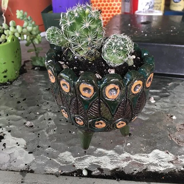 First thing that came out of the kiln, and I made it just for this little cactus. .
.
.
.
.
.
.
.
.
#ceramics #cactus #plantsofinstagram #peacock #gardening #pottery
