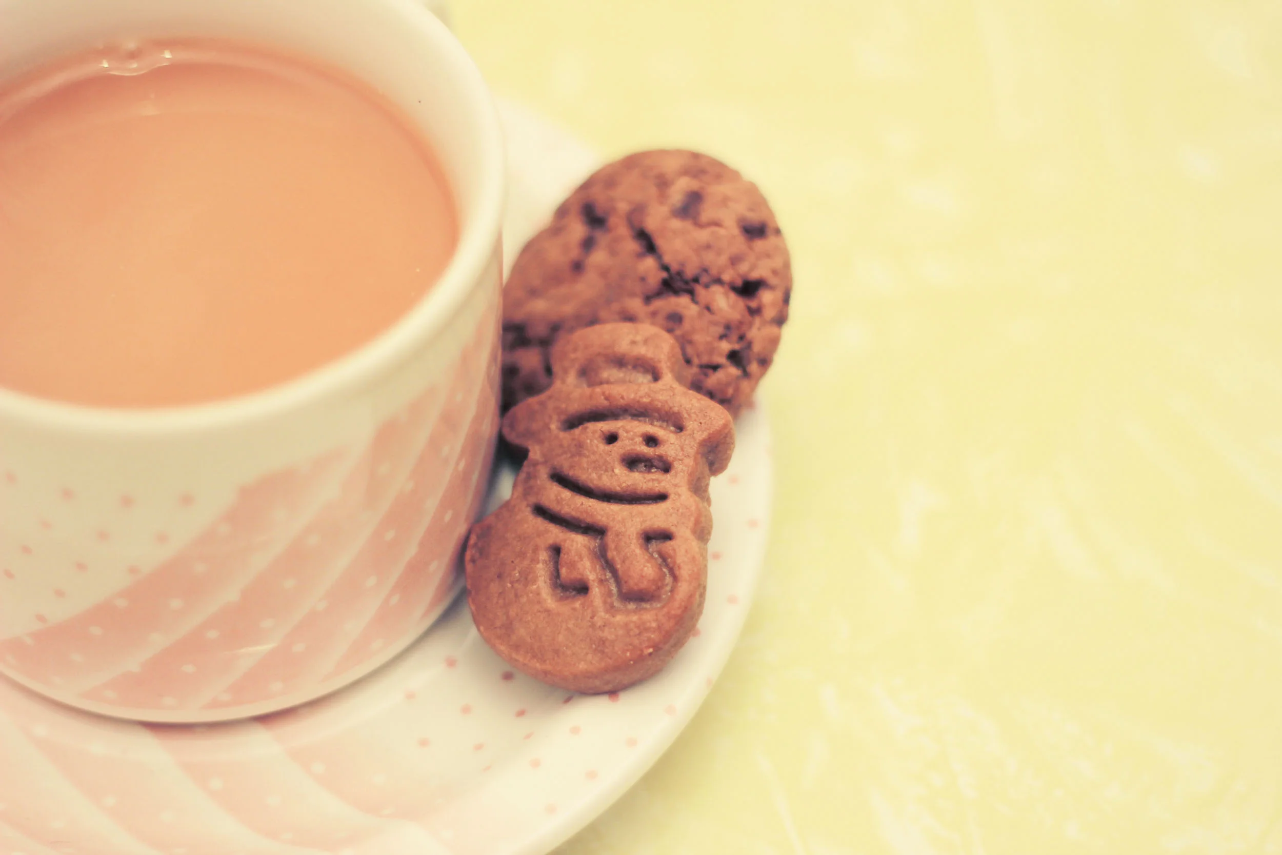 Healthy Ginger Bread Cookies
