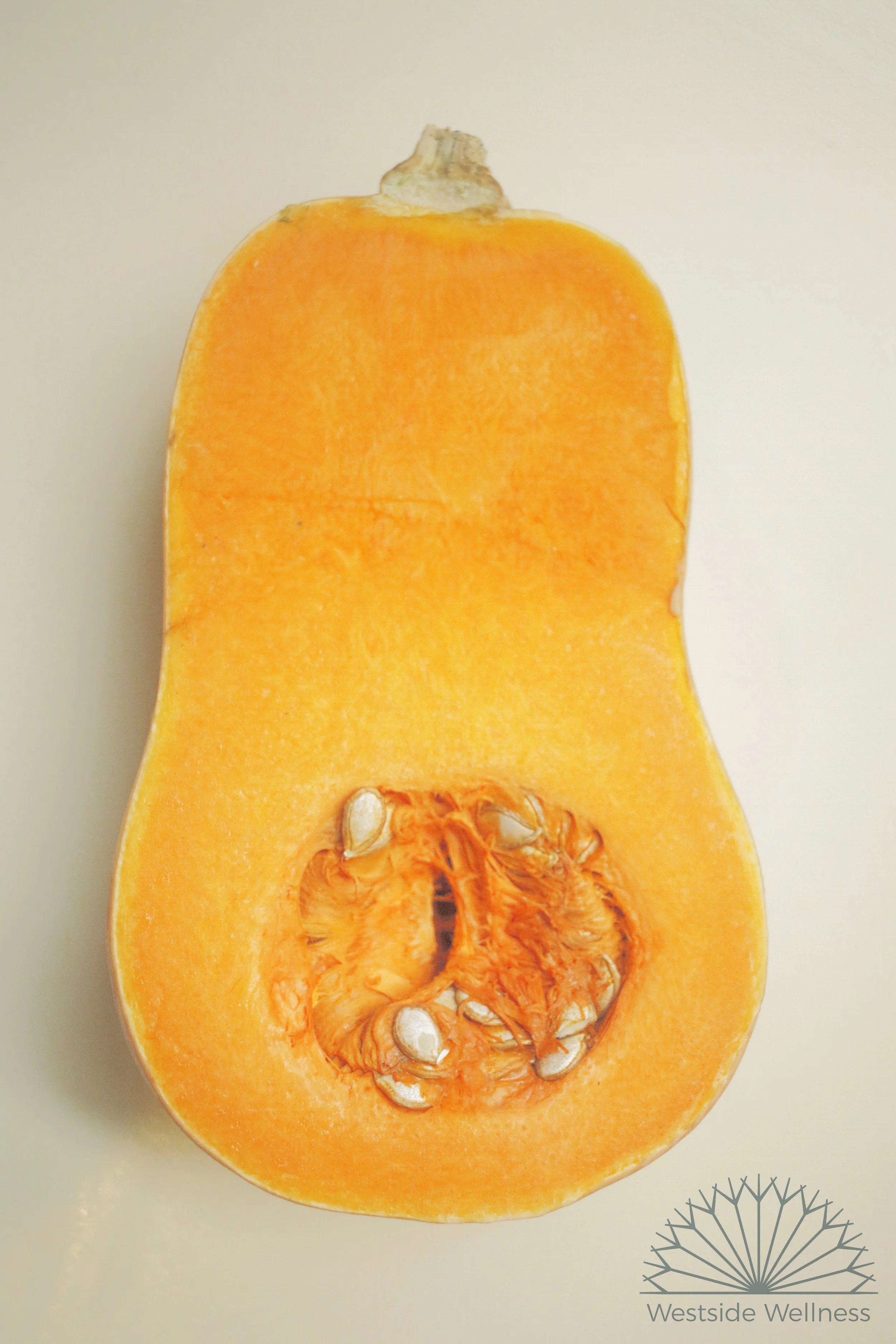 butternut pumpkin.jpg