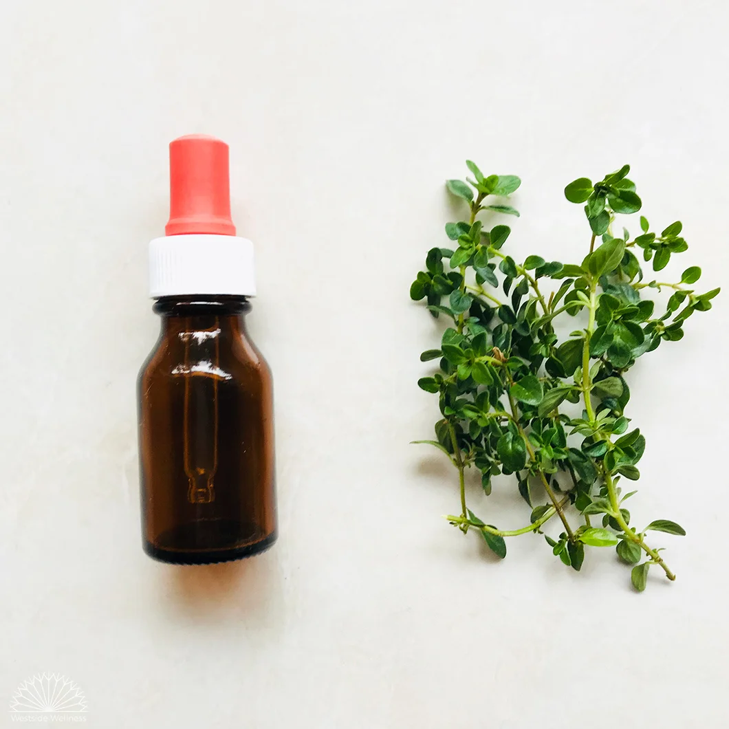 Thyme.jpg
