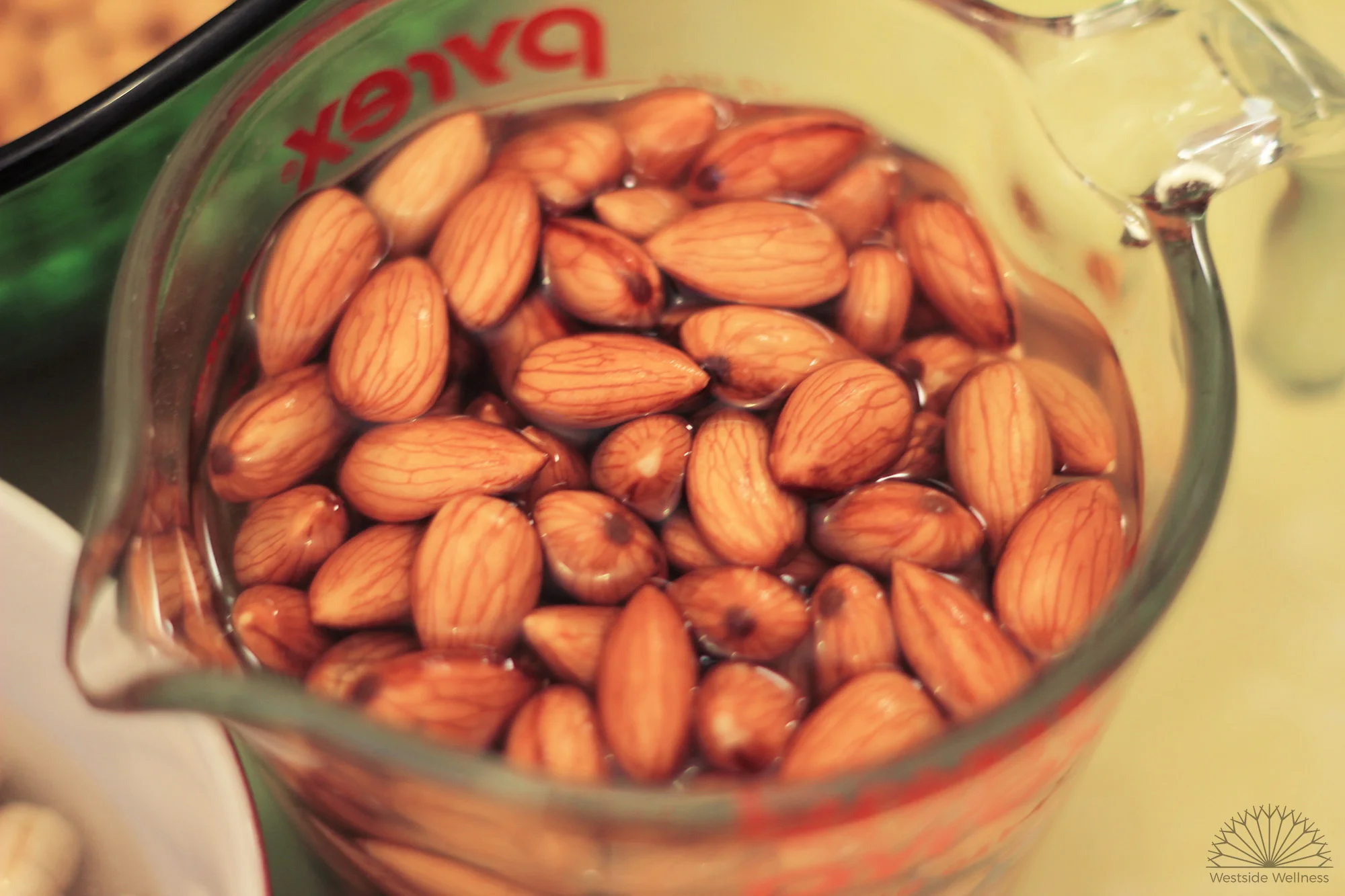 activating-almonds.jpg