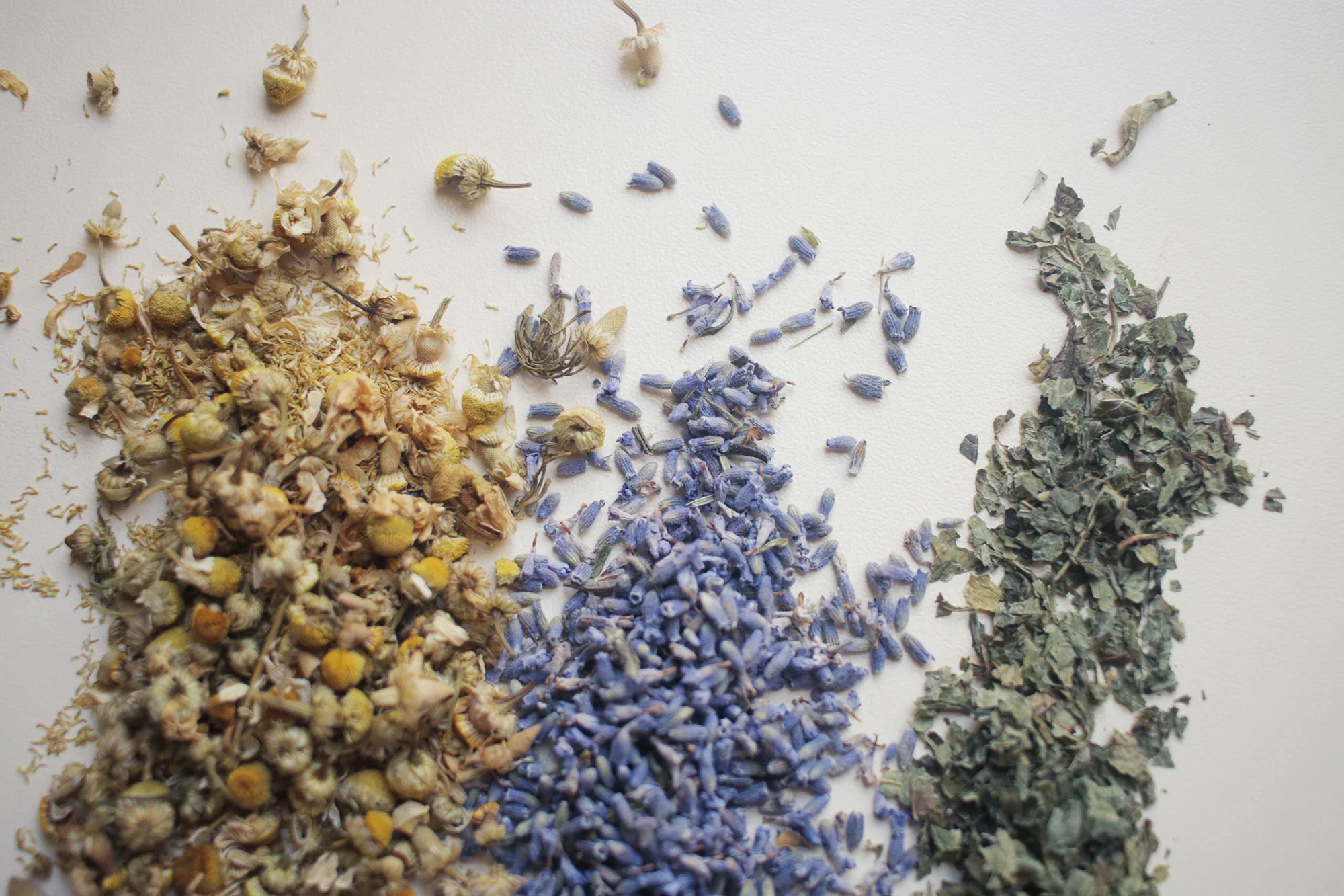 herbs-web.jpg