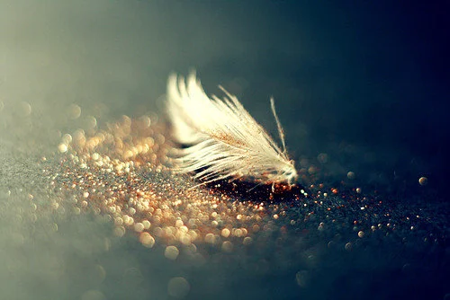 Plumes pailletée.jpg