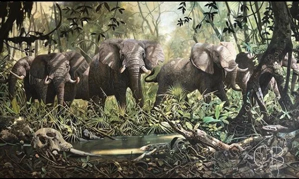 Ahmed’s Footsteps. Original Oil on Canvas by Craig Bone