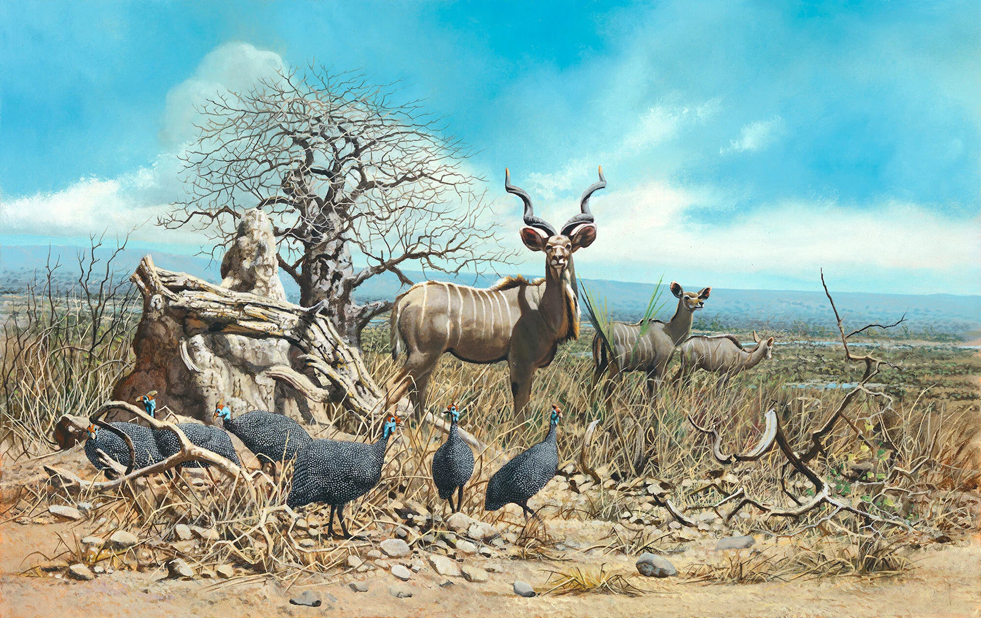 Bone - Kudu and Guinea Fowl 2019-08-00005(resized.jpg