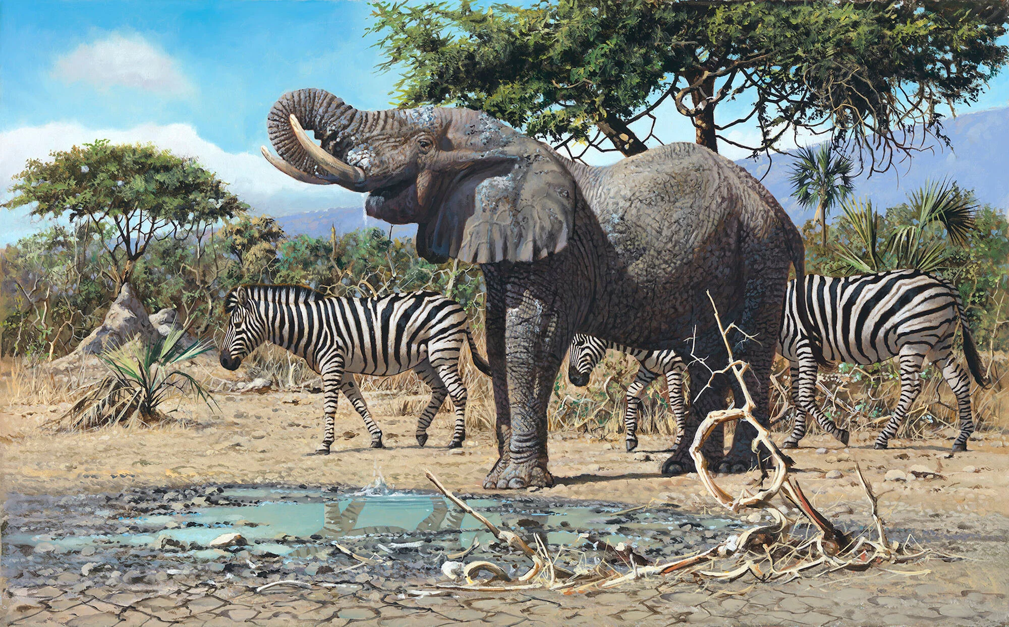 Bone - Elephant and Zebra 2019-08-00008(resized.jpg