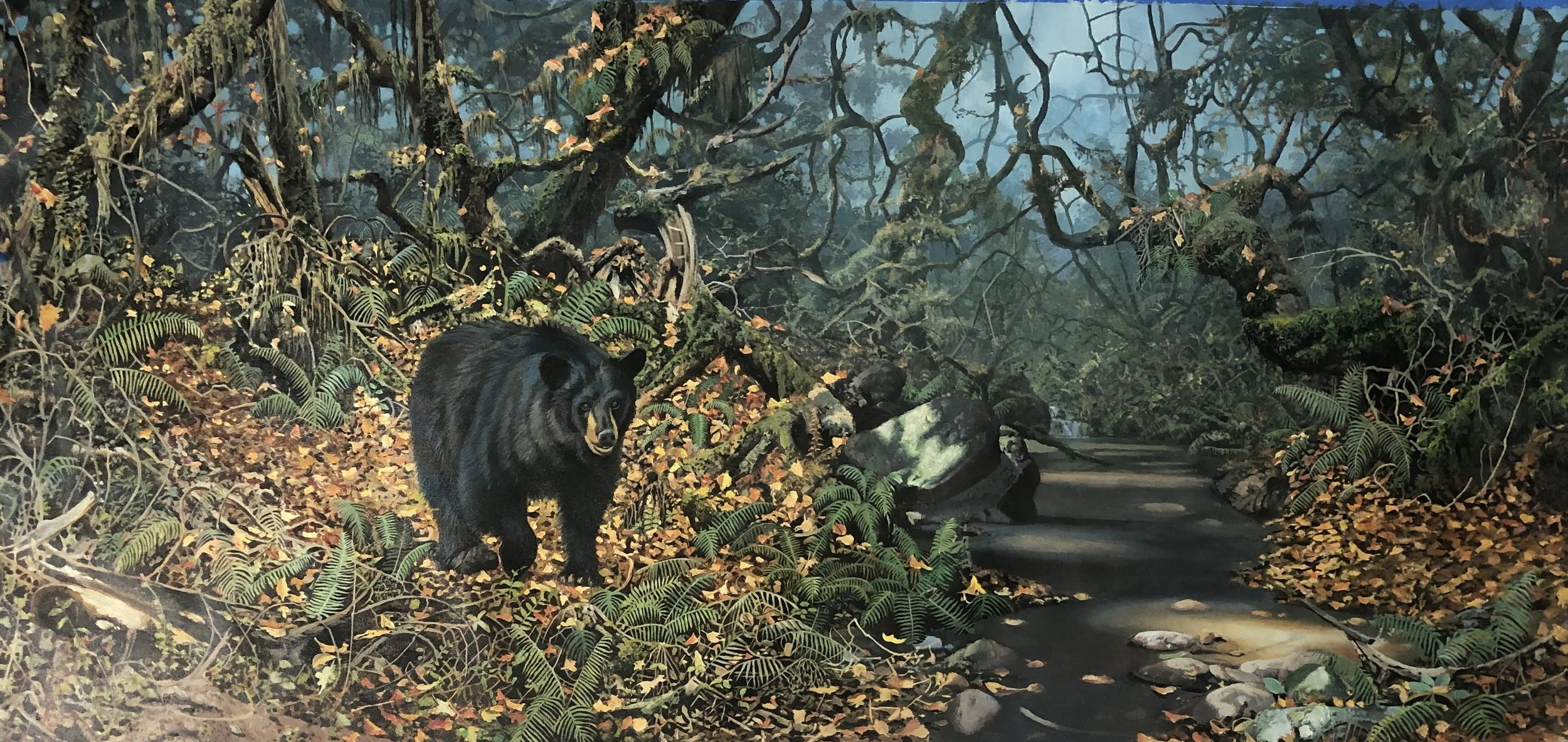 Bear in the woods.JPG