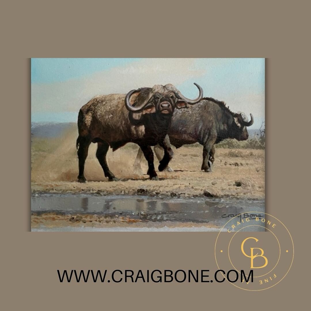 A pair of Buffalo bulls, also known as Dugga Boys  Taking a little stroll to their favorite mud bath area. 
.
.
.
.
.
.
#craigboneartist #wildlifeartist #craigbone #oilpainting #buffalo  #safariart #wildthings #huntinglodgedecor