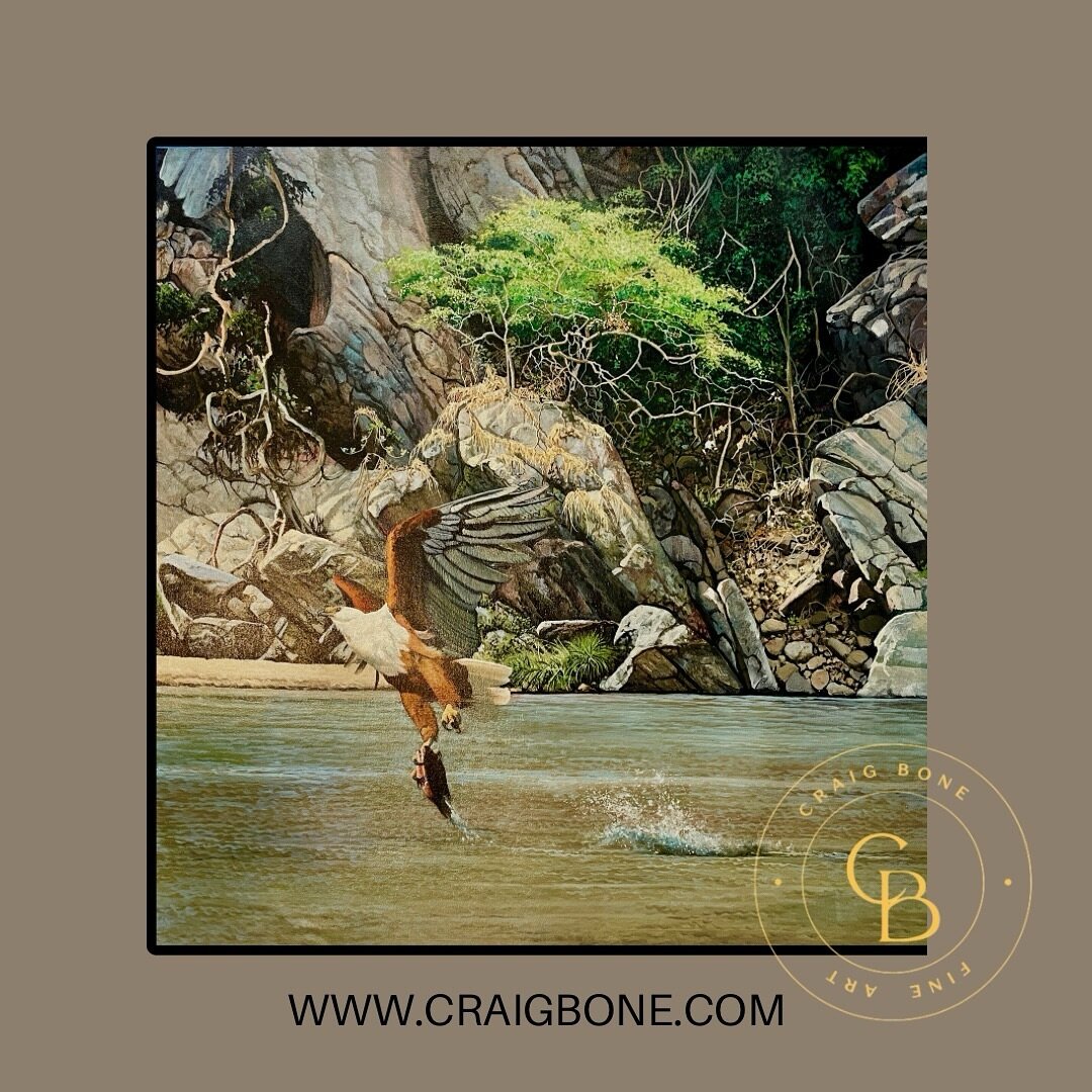 &lsquo;Mupata Gorge Magic&rsquo;. This oil on canvas captures the drama of the hunt on the Zambezi River, Zimbabwe.  A majestic African Fish Eagle takes center stage, its powerful talons firmly gripping a glistening tiger fish. The spray of the captu