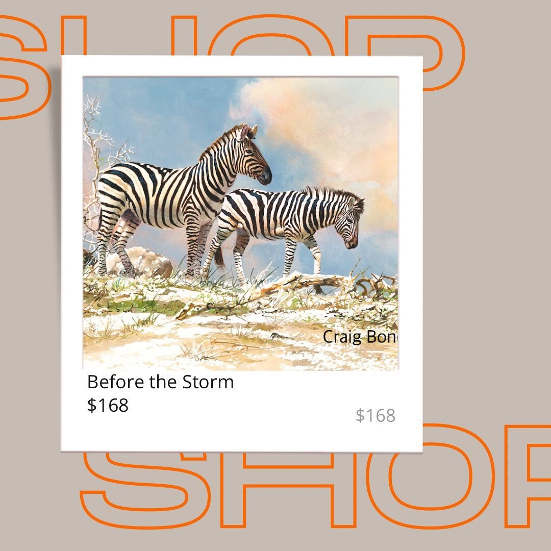 Bring the wild home, affordably!

These archival museum-quality gicl&eacute;e reproductions capture the essence of my original artwork, with vibrant colors and stunning detail. They&rsquo;re UV-coated for lasting beauty, so you can enjoy the magic of