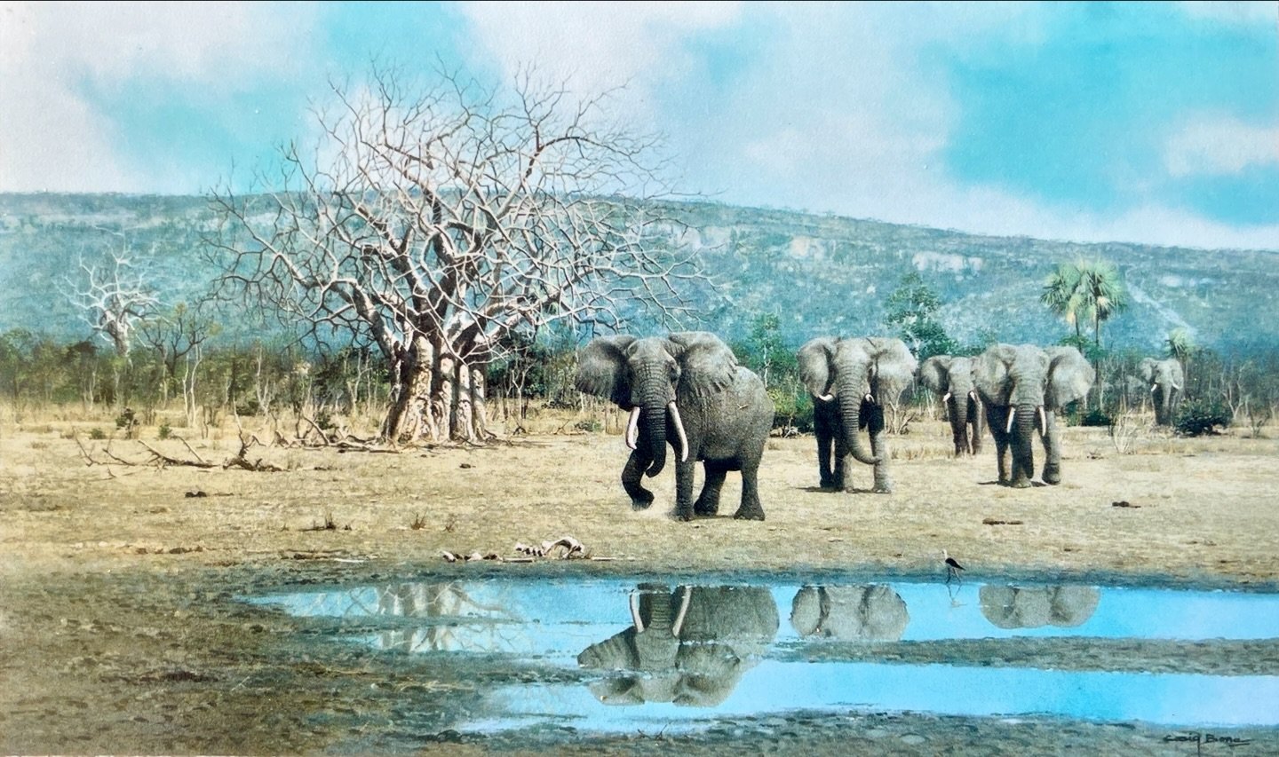 Decades apart, this painting of mine from the mid-90s remains a reality in the Zambezi Valley. Let&rsquo;s keep it that way.  This painting reminds us of the beauty we have a responsibility to conserve. #Conservation #Zambezi #Waterhole