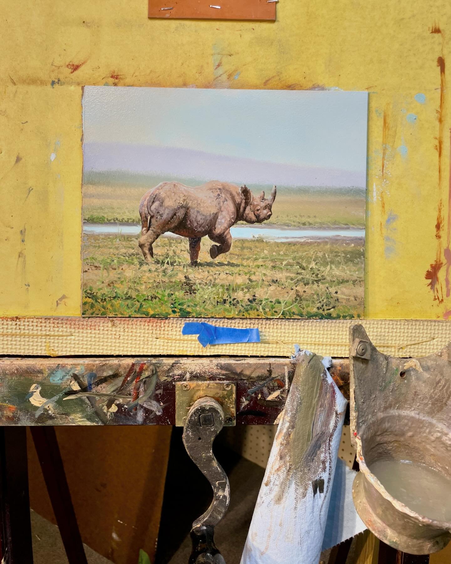 Monday studio vibes. Making some progress on this black rhino on board&nbsp; it is slowly coming to life on a tiny oil panel. Loving the texture these well-loved brushes create. 
#artonMondays #oilpainting #blackrhinoart #artistsofwildlife&nbsp; #cra