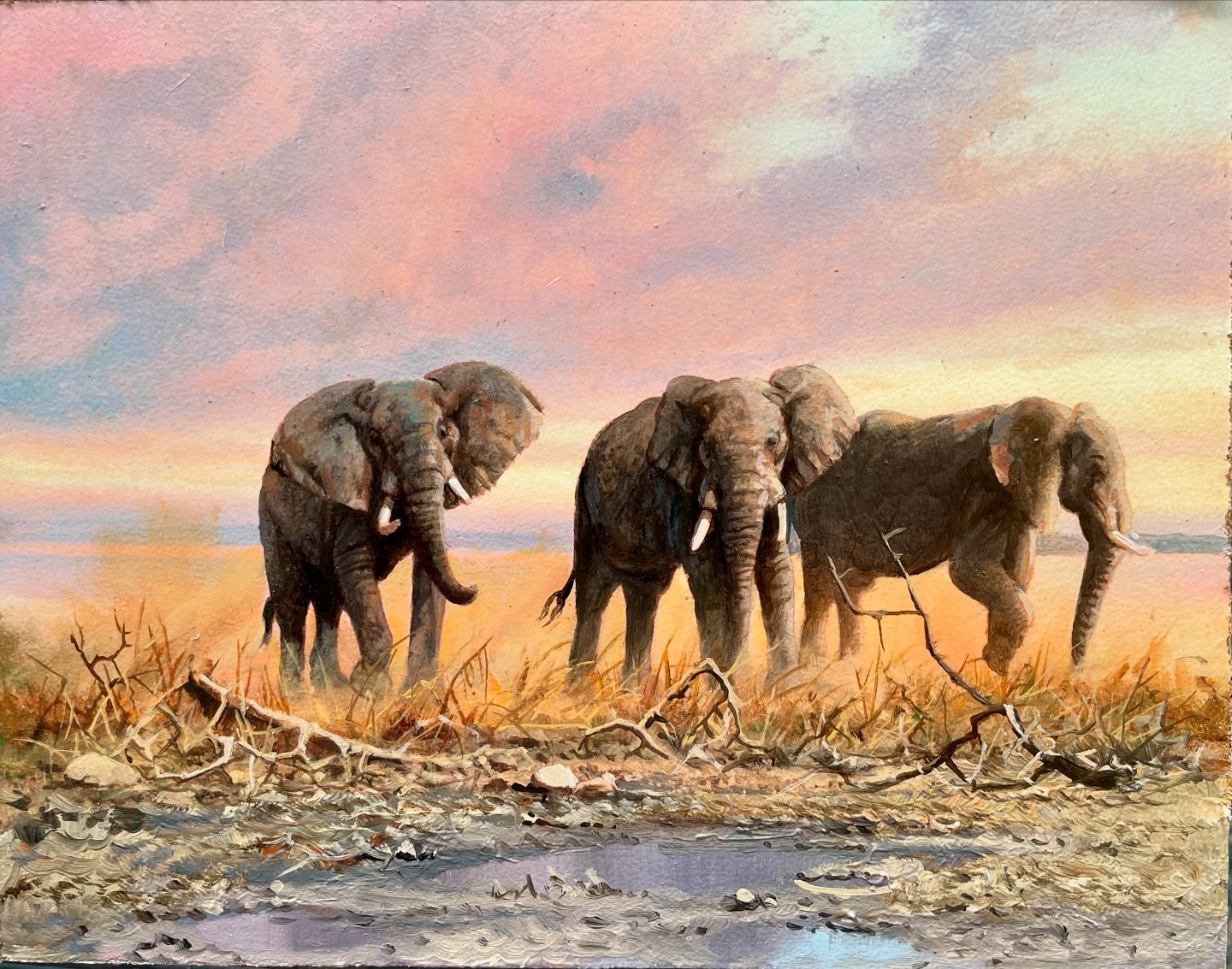 Ending the day at the waterhole as the light changes to sunset. #craigboneartist #elephants