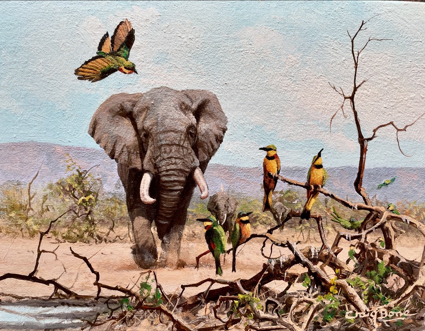 Elephant Bull with little Bee-Eaters in the foreground.  #Africa #craigboneartist #birds #elephant