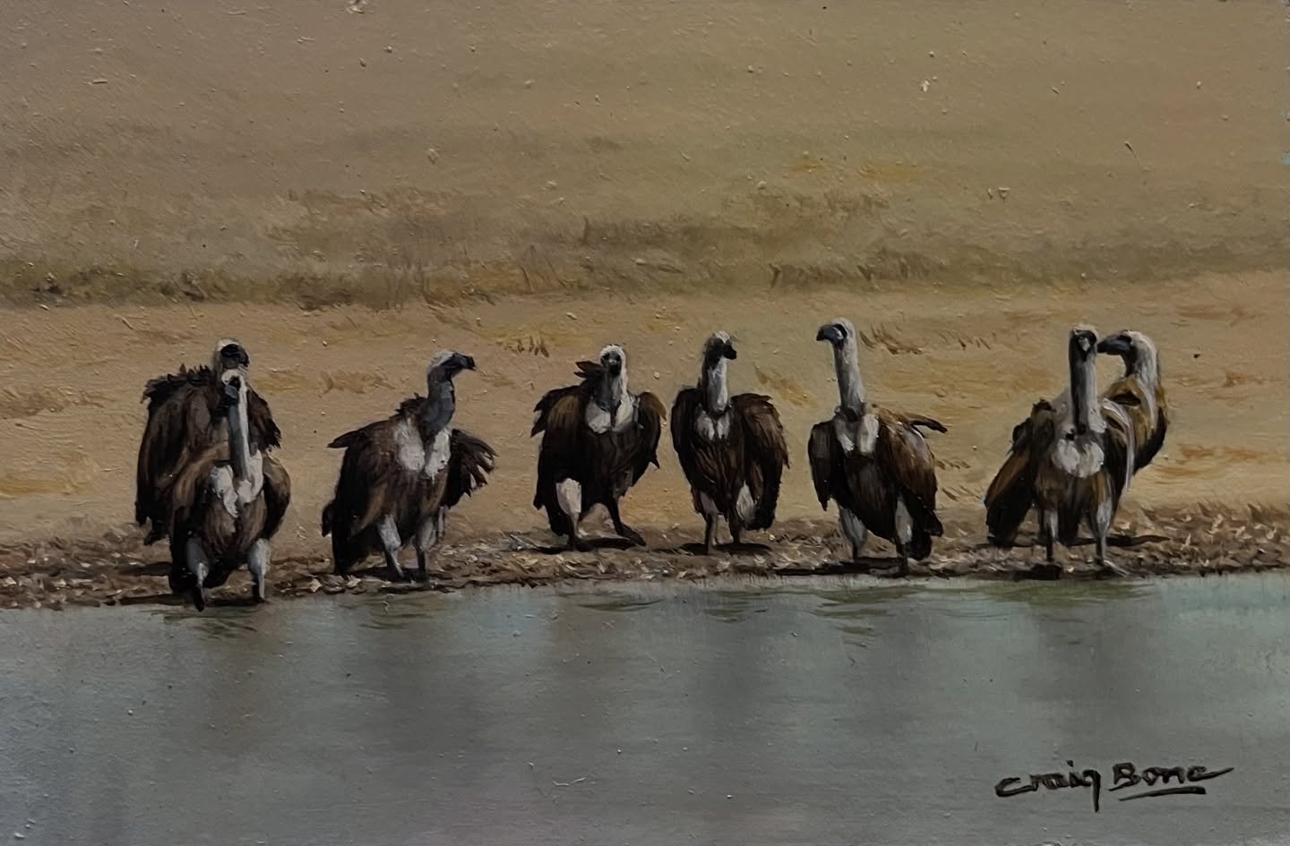Vultures at a waterhole.  It has been thirsty work for the clean up crew.  Miniature oil painting #africanbirdlife #craigboneartist #craigbonewildlifeartist #vultureculture #vulture #birds