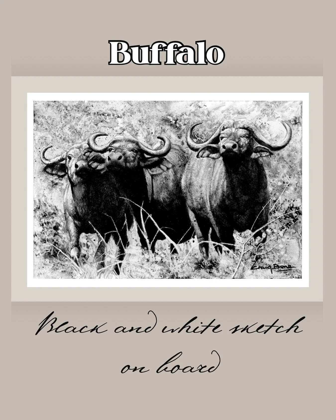 Throwback to the time I did 12 sketches on board for the #DSWF #wildlifeartostoftheyear auction. A reminder, as we slowly start losing all our leading conservationists to old age that these organizations still need support. #buffalo #wildlife #way202