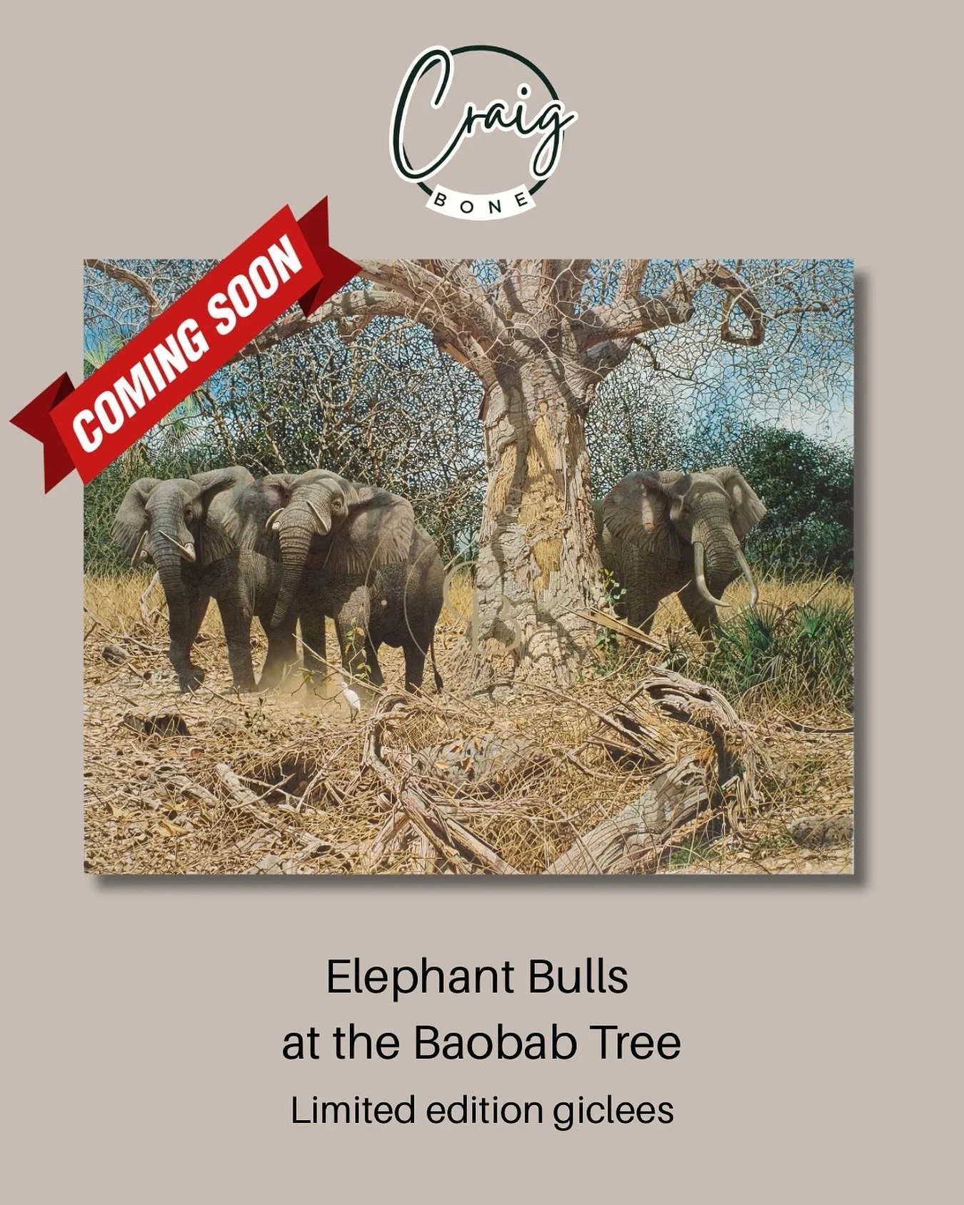 Elephant Bulls at the Baobab tree.  This spectacular new limited edition is available soon on the website.  Get your name on the list of you are interested.  #craigboneartist #elephantart #limitededition #safarimemories #africanmemories