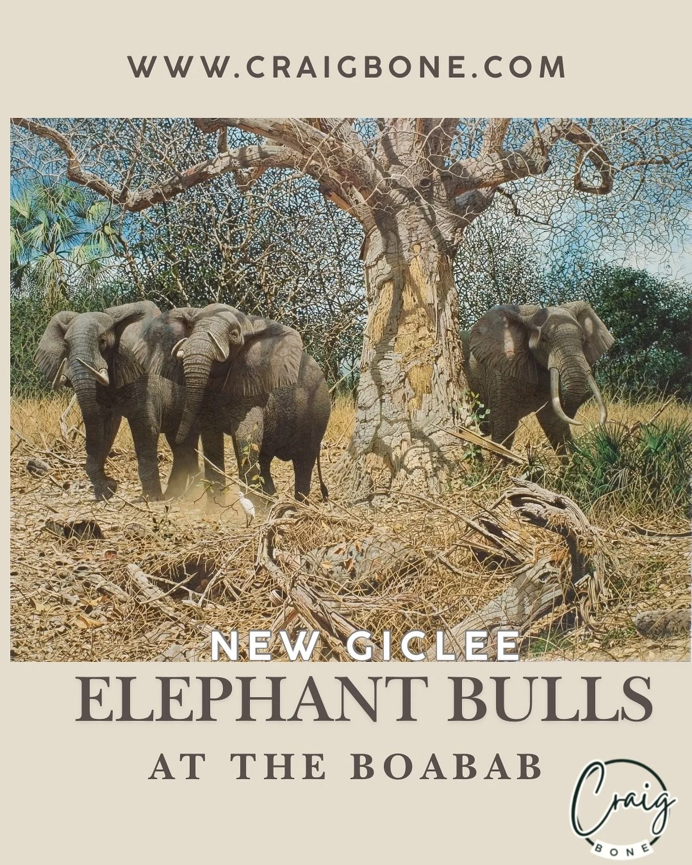 An impressive new elephant painting is going to be available at the end of the week.  This limited edition series will be available on the website, www.craigbone.com for purchase.  Links in stories and bio.  Don&rsquo;t miss out, get on the waiting l