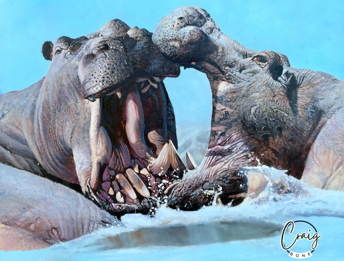 Have you canoed the Zambezi River and come upon this scene?