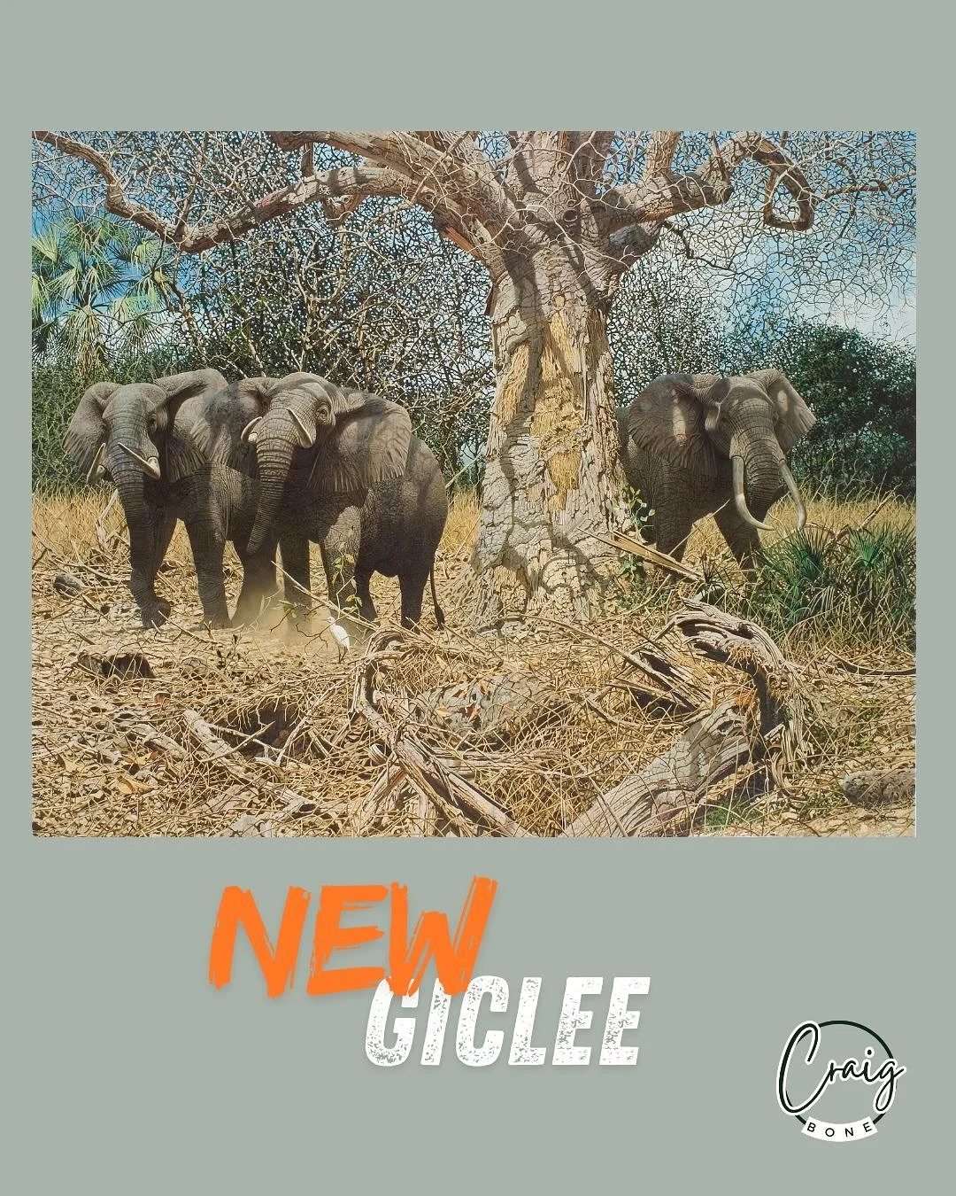 Meet the newest addition to my print shop! See the details on slide 1. Love what you have? Please consider leaving a quick review on my website (slide 2) to help others shop confidently! It makes a huge difference&mdash;even the USPS mishaps! 😉 See 