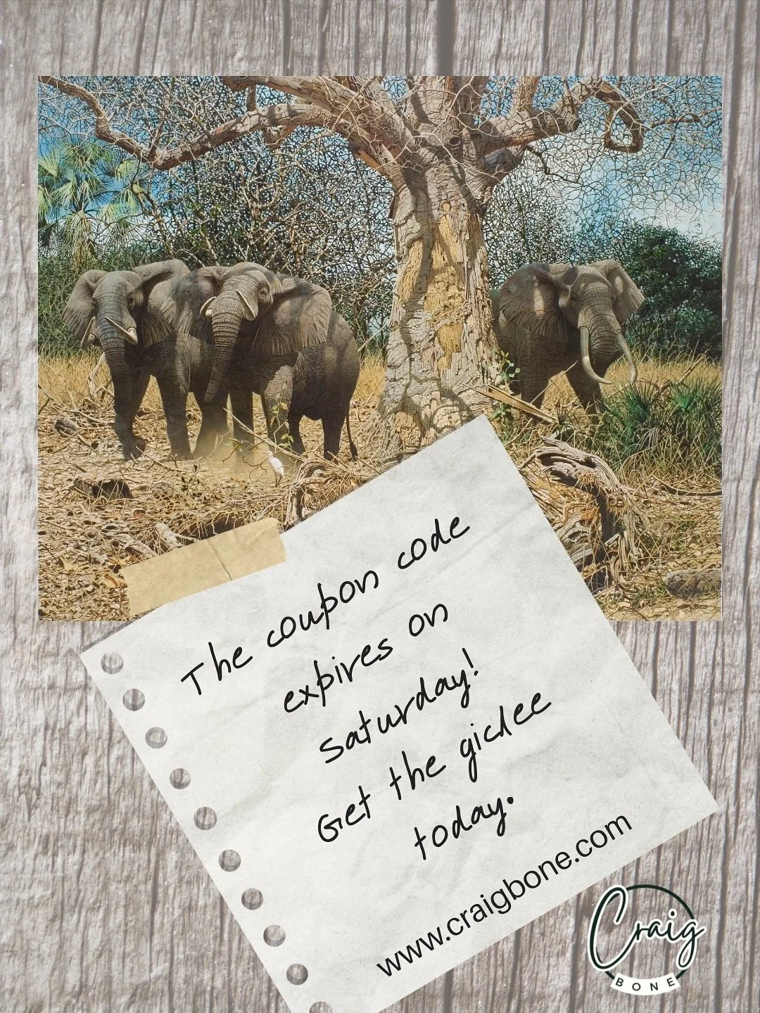 Elephant Bulls at the Baobab Tree. The coupon code on this newly release Limited Edition Gicle&egrave; is expiring Saturday evening.  Use your coupon today and take advantage of the 20% discount. Coupon code Elephant. Sign up for newsletters and alwa