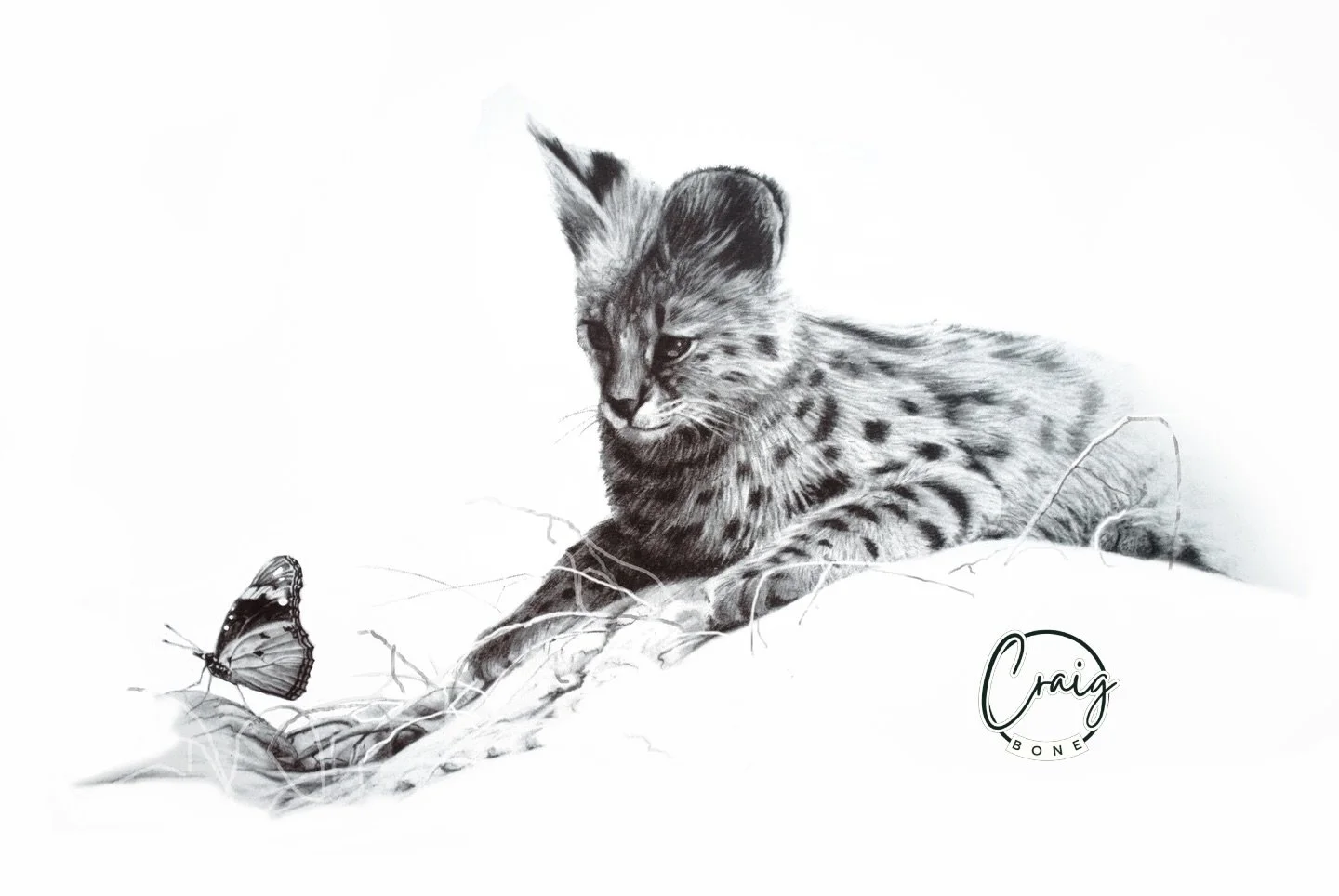 Into my heart an air that kills

From yon far country blows;

What are those blue remembered hills,

What spires, what farms are those?

That is the land of lost content

I see it shining plain,

The happy highways where I went

And cannot come again