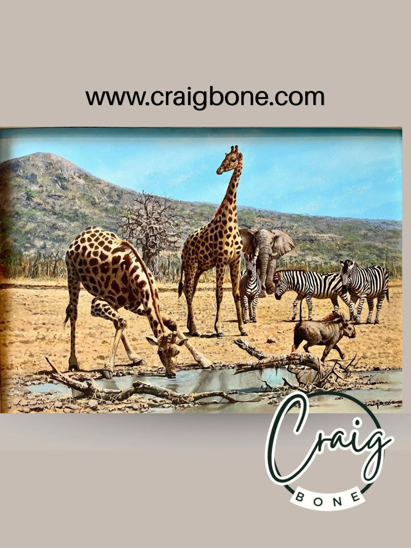 Through the brilliant artistry of Craig Bone, these giraffe are portrayed quenching their thirst at a waterhole.  Elephant, zebras and a warthog join this breathtaking moment in the bush. Craig&rsquo;s portrayal of the African bush reminds us preciou