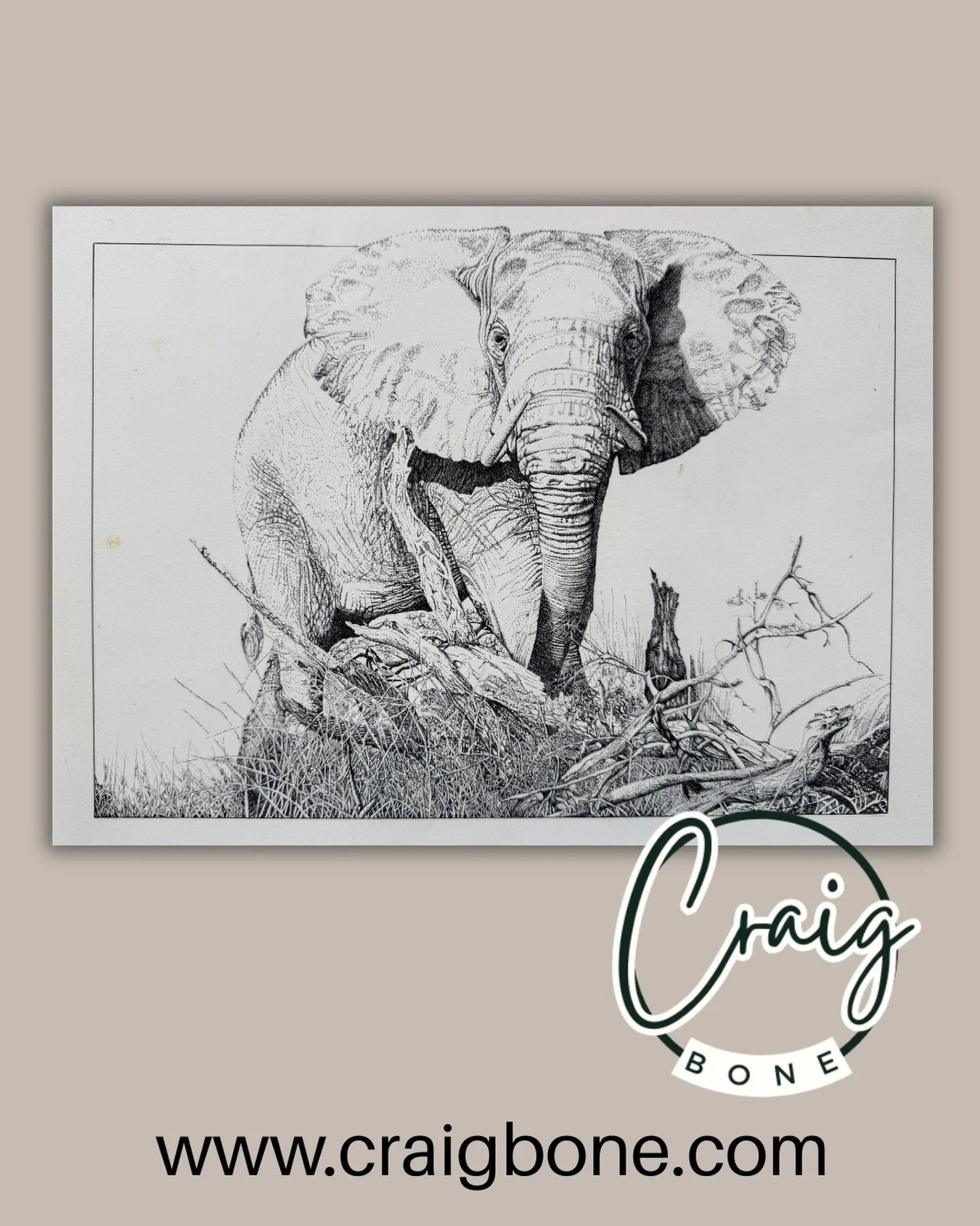 Every graphite stroke tells a story. Craig&rsquo;s pencil portrait that I just discovered amongst his illustrations, captures the quiet majesty of the African wilderness, bringing raw emotion and remarkable detail to paper. From the deep, weathered t