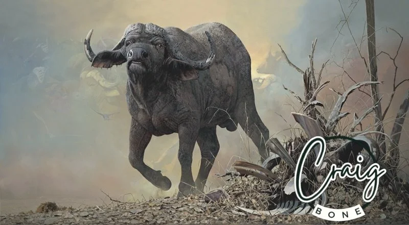 Another magnificent oversized oil painting of Craig&rsquo;s.  It started out as a huge herd in great detail, and then he changed his mind and decided to blend dust over the herd and focus on this male Buff. &ldquo;Stand Off&rdquo;. Gicle&egrave;s wil
