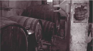 image3.jpg