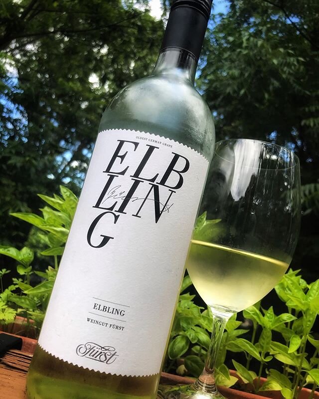 ⚡️ &ldquo;Light bodied, low alcohol, and dry as a vodka martini, Elbling is like a Teutonic answer to Muscadet&rdquo; - @bowlerwine &mdash;&mdash;&mdash;&mdash;&mdash;&mdash;&mdash;&mdash;&mdash;&mdash;&mdash;&mdash;&mdash;&mdash;&mdash;&mdash;&mdash