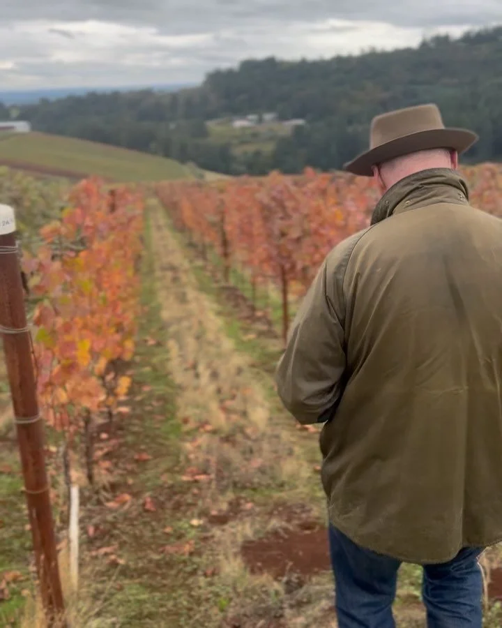 Checking in on our friends in the Willamette Valley was a dream 🫶 The hospitality to take us on during the tail ends of harvest wasn&rsquo;t lost upon us 🙏 our cups are filled
@winderlea 
@fossilandfawn 
@maloofwines 
@daywines