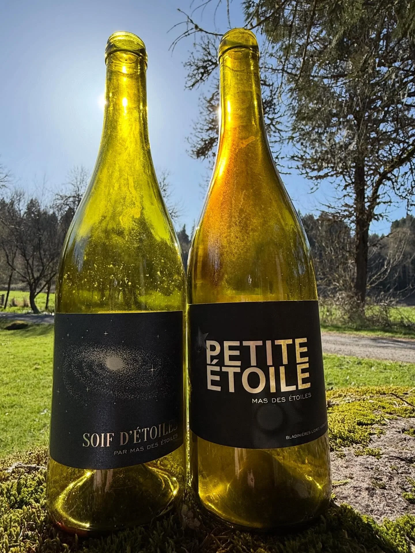 ✨ ✨ A petite star is born ✨ ✨ 

🍷 Mas des Etoiles (@mas_des_etoiles )
📦 🛻 JP Bourgeois (@jp.bourgeois ) 

We&rsquo;re pleased to welcome these wines from Cahors, France to the state of GA. Malbec and Merlot, farmed by hand, guided by generations o