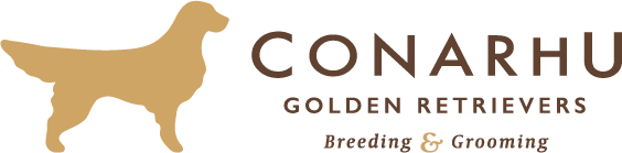 Conarhu Golden Retrievers