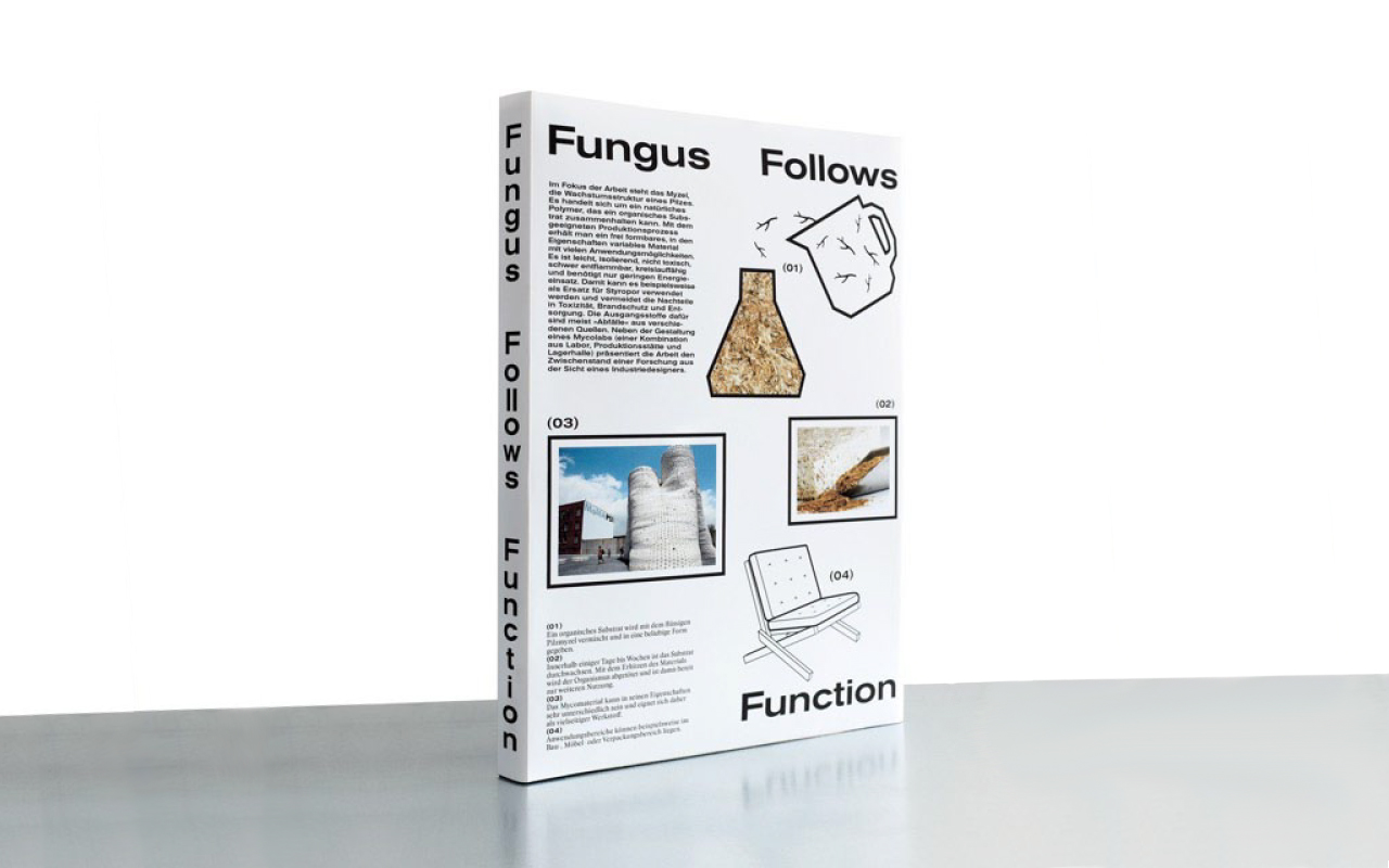 fungus_wide.jpg