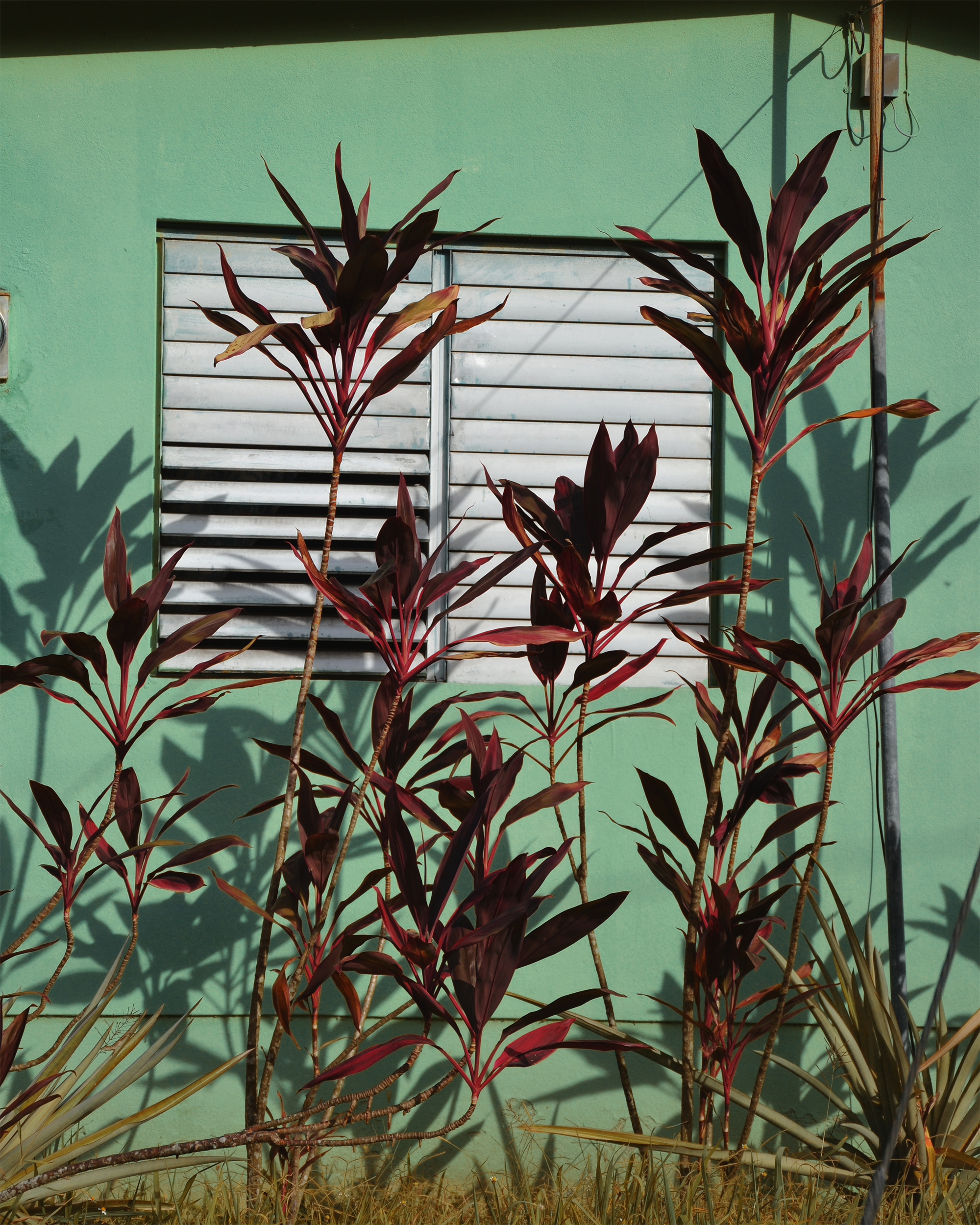 R DSC_0033.png