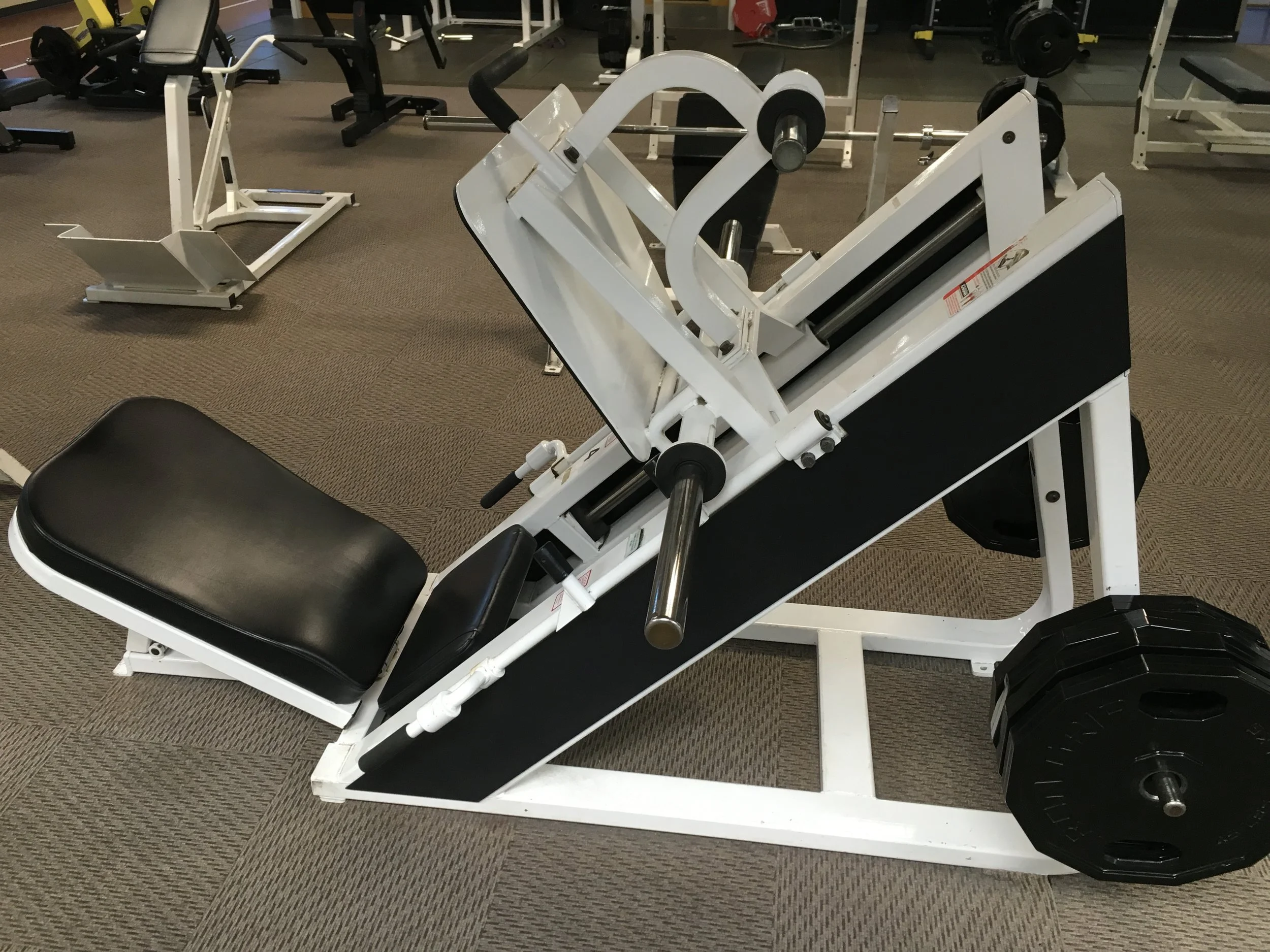 Putting a "Rap" on the Squat vs Leg Press Debate and how Jay Z and 2Pac fit in