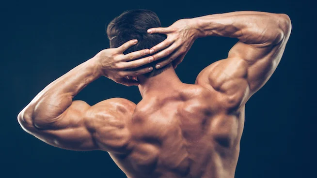 Married to the Bench Press? Hit These Two Moves For Better Posture and Total Shoulder Development.