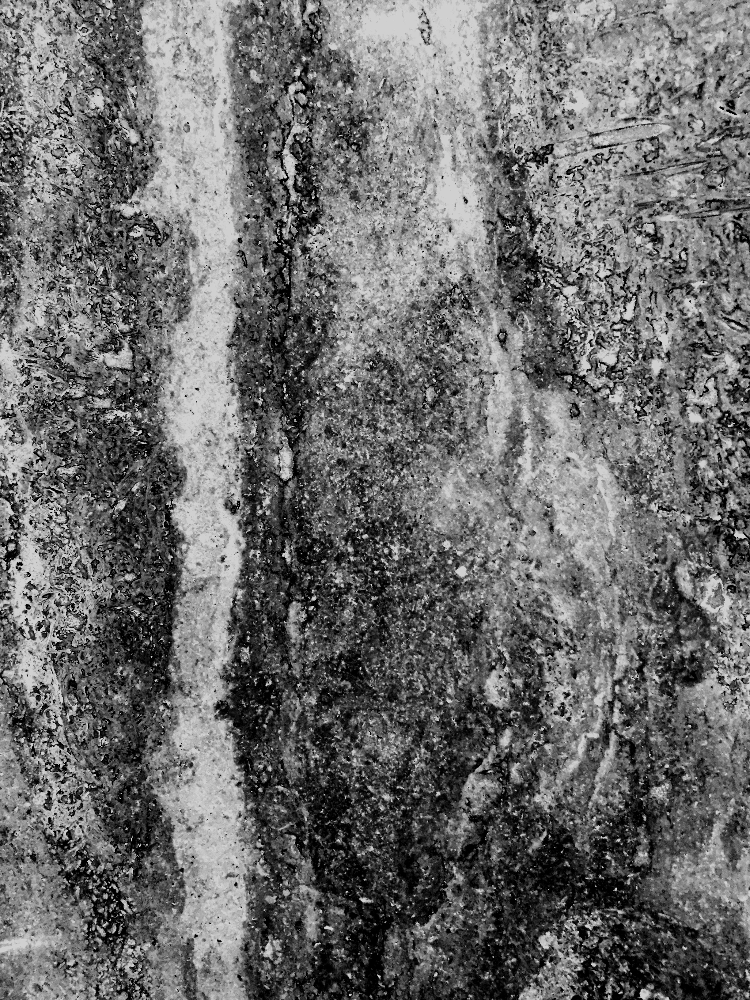 Ground and Tile_2.jpg