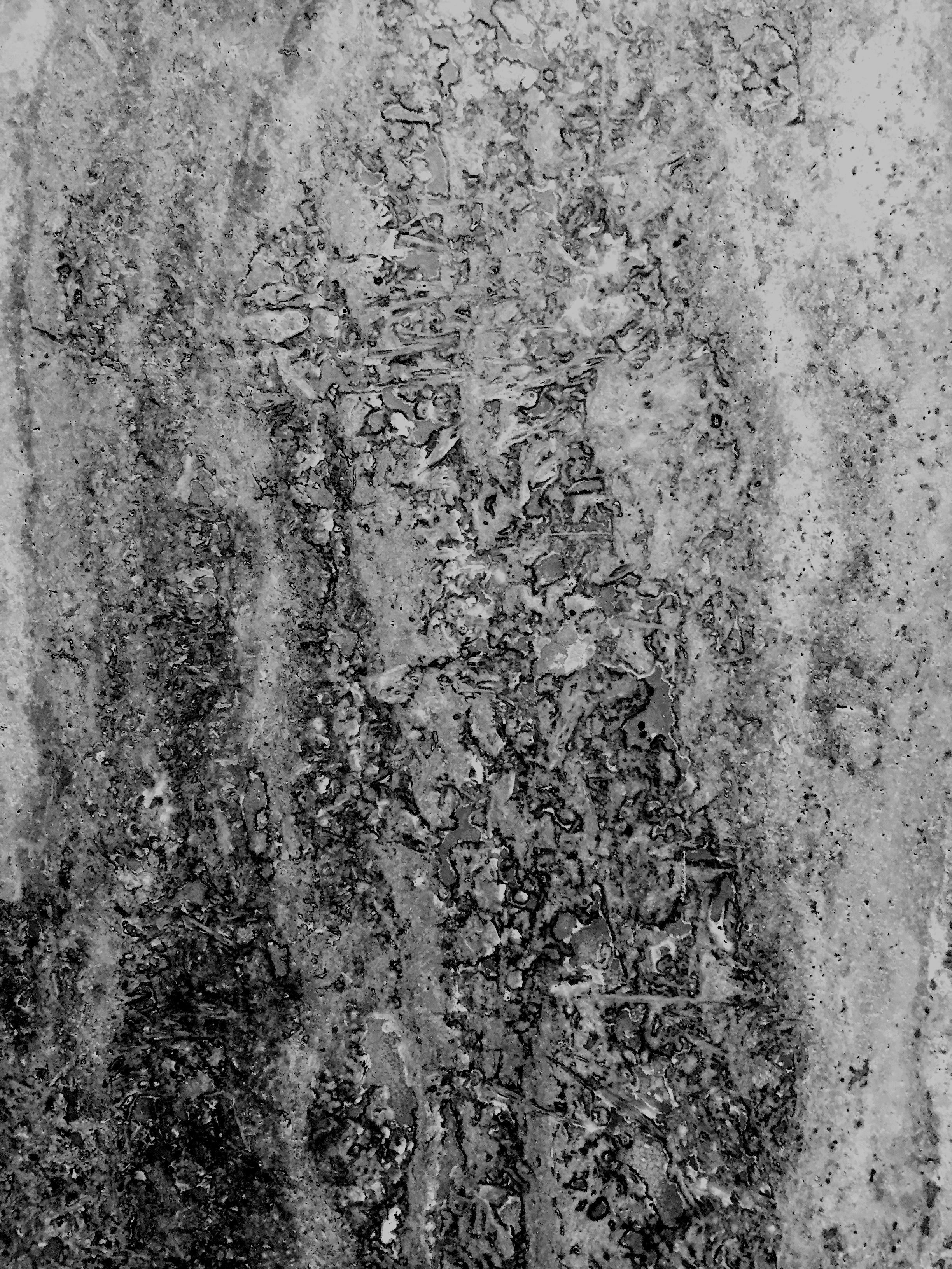 Ground and Tile_5.jpg