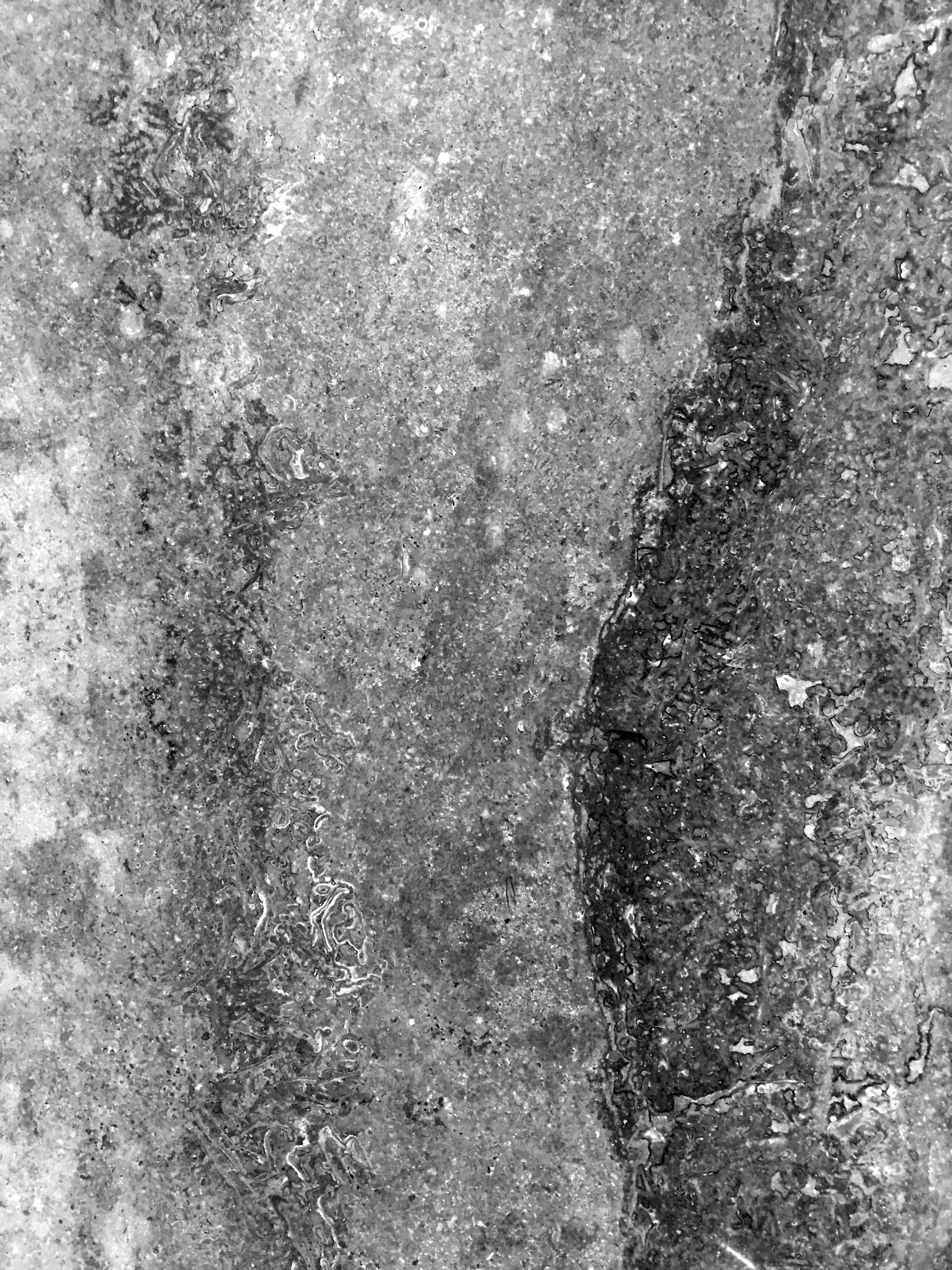 Gound and Tile_7.jpg