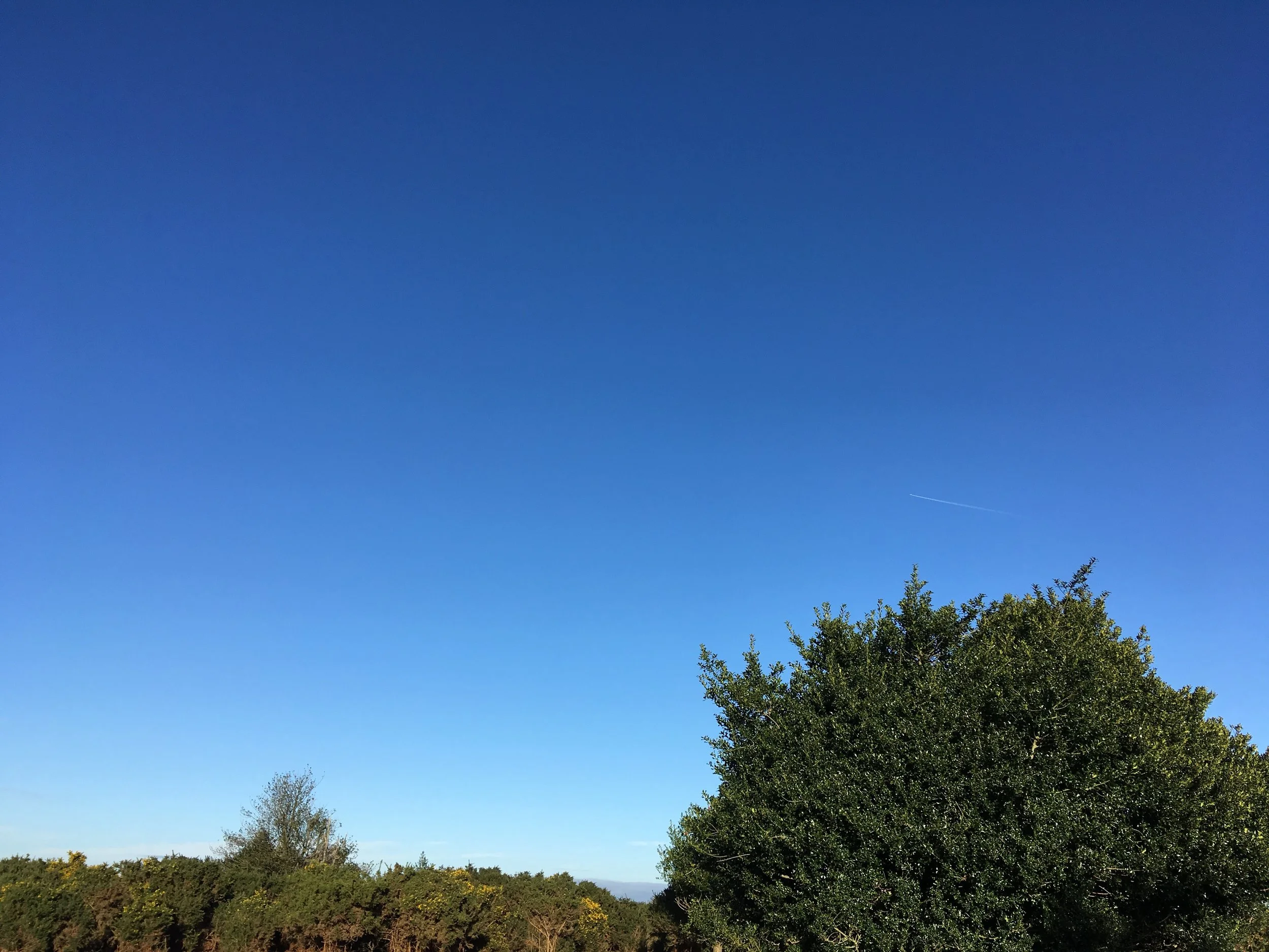BlueSky92Minutes.jpg